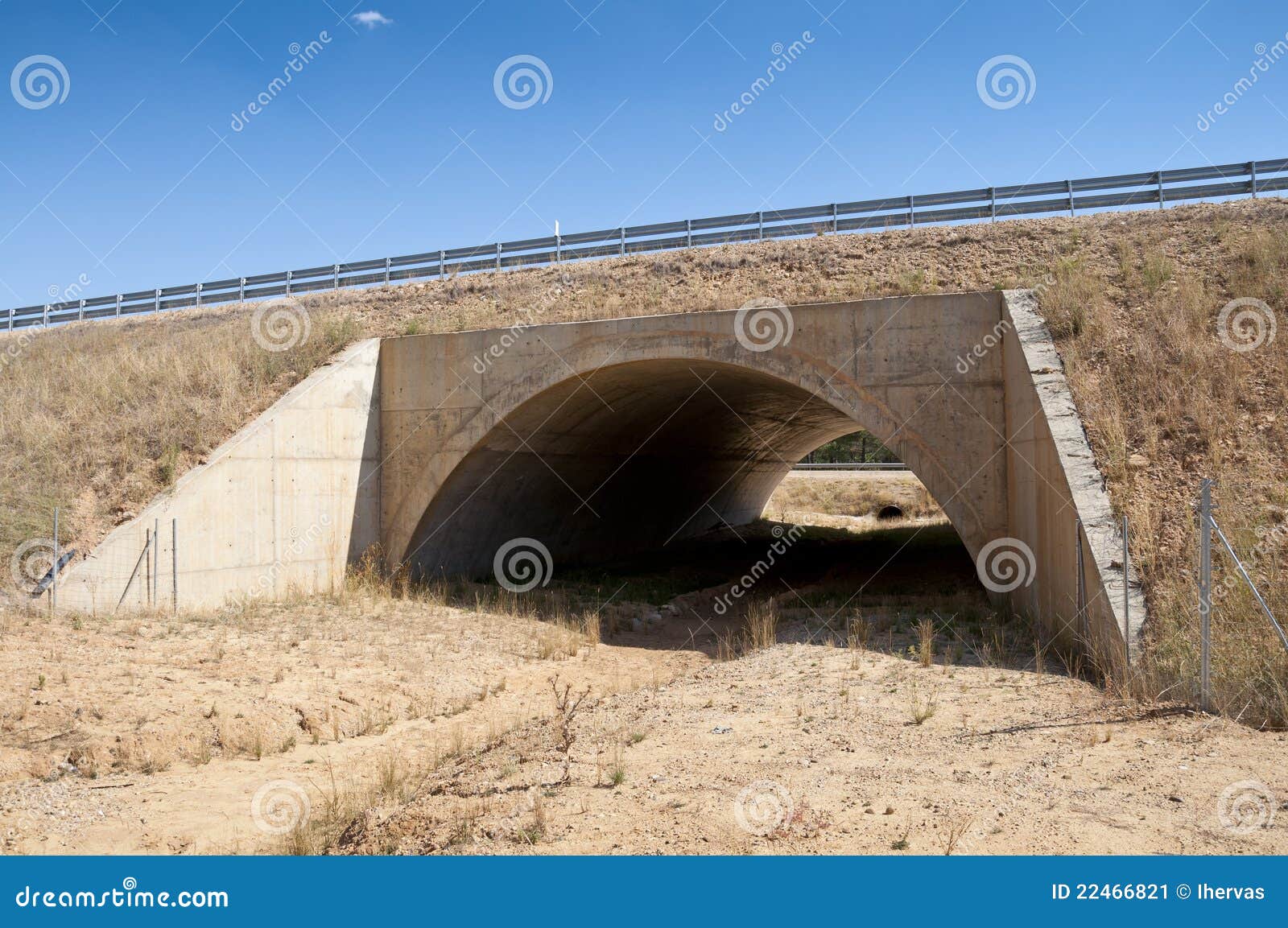 Wildlife crossing stock image. Image of barrier, biodiversity 22466821