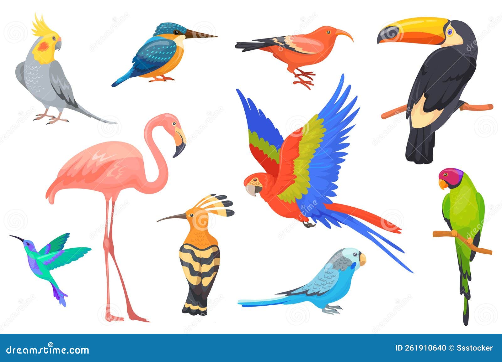 Wildlife Hawaiian Birds. Exotic Beauty Bird of Tropical Paradise Jungle  Brazil or Colombia, Macaw Parakeet Toucan Stock Vector - Illustration of  colorful, bright: 261910640