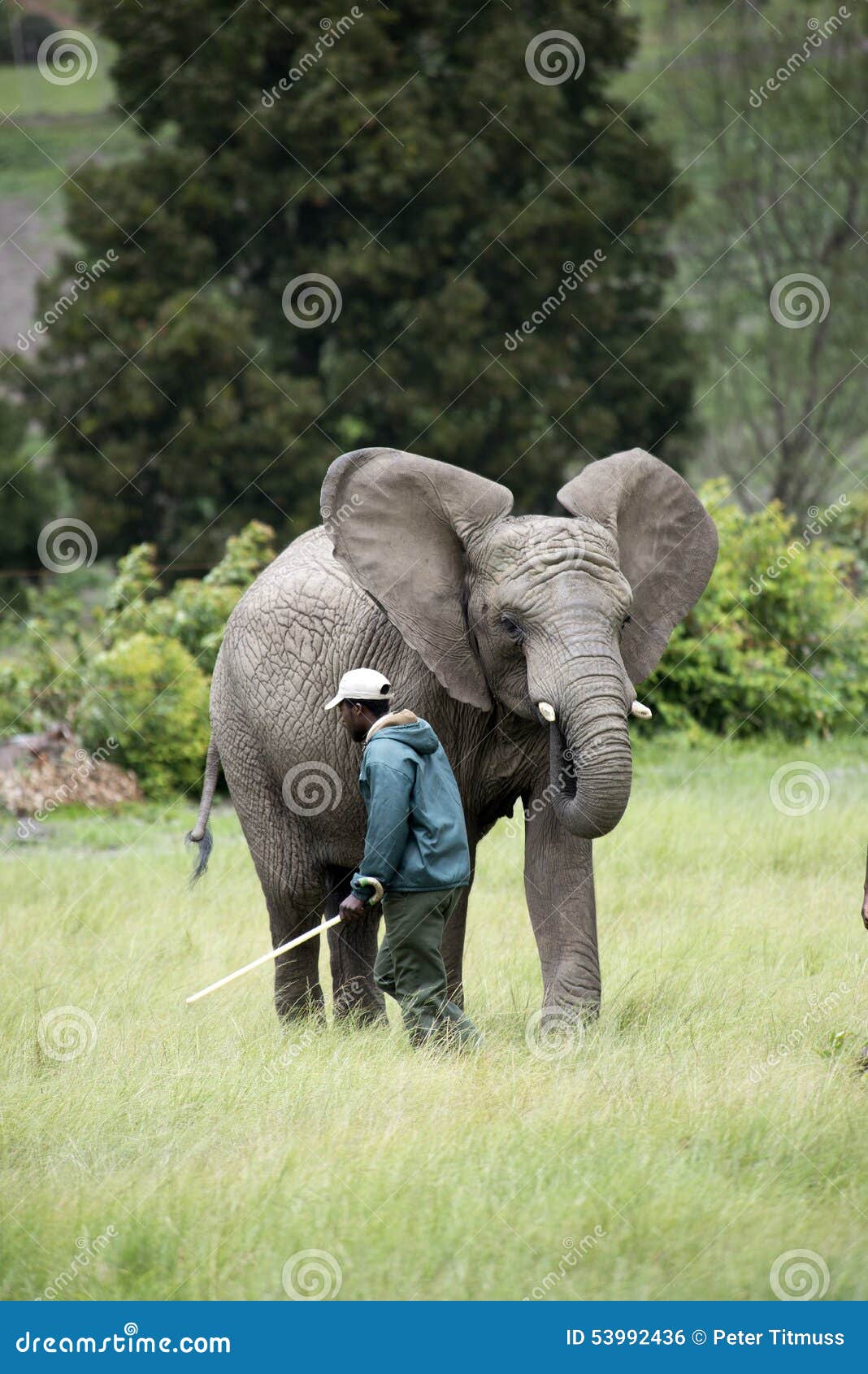 biological monitoring a practical field