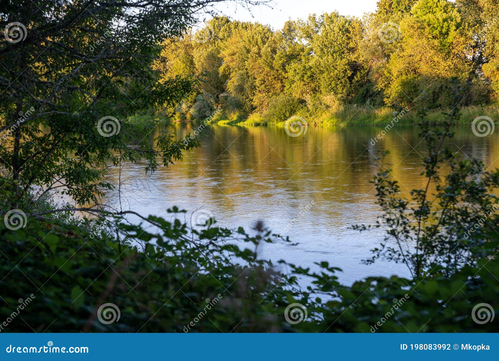 The Willamette River, Flowing through Corvallis, Oregon at Dusk Stock