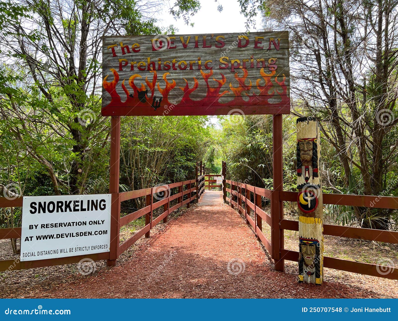 Devil's Den Prehistoric Spring (@devilsdenspring) • Instagram photos and  videos