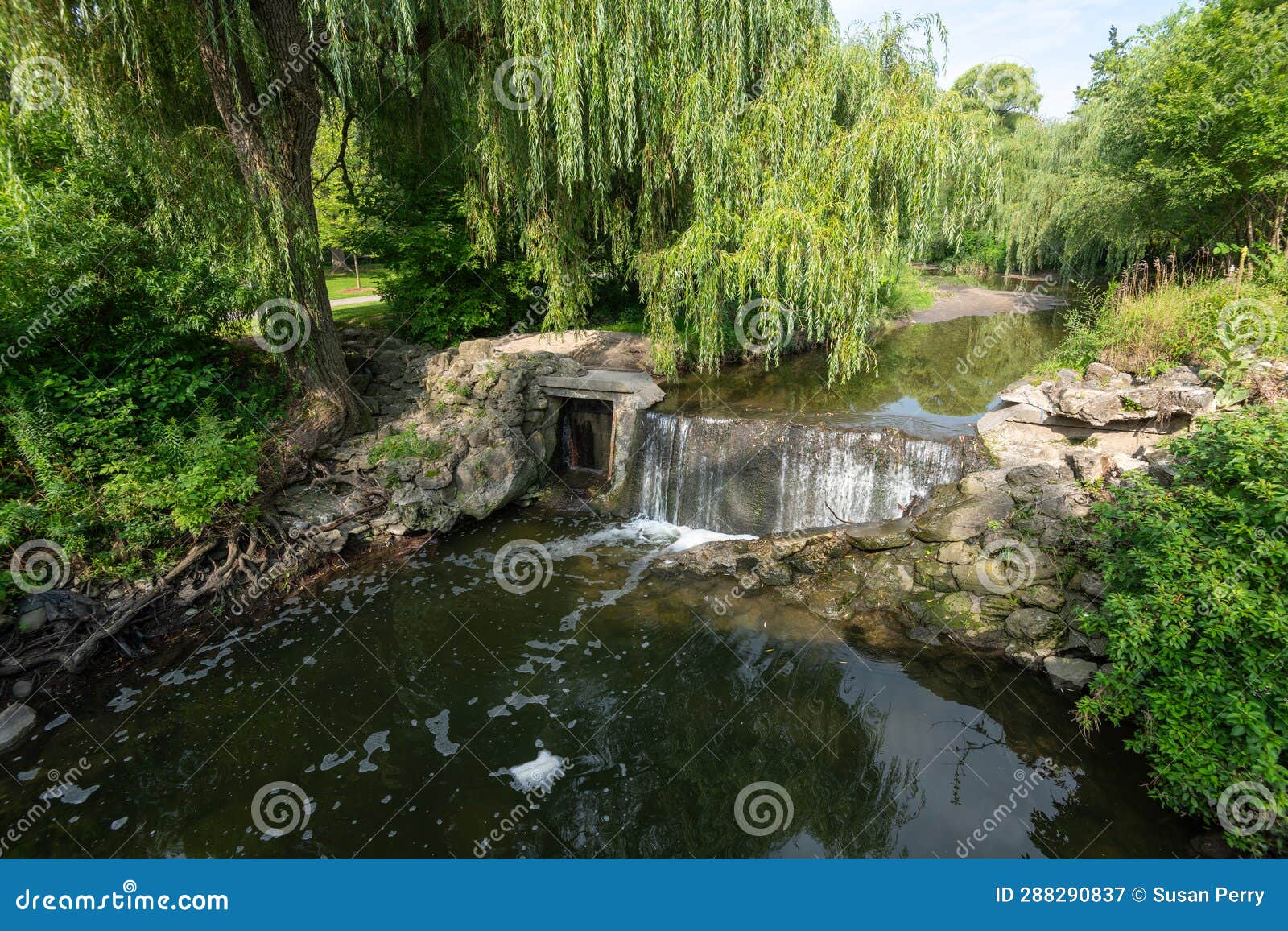 Willow Tree in the Park with Waterfall Stock Image Image of willow