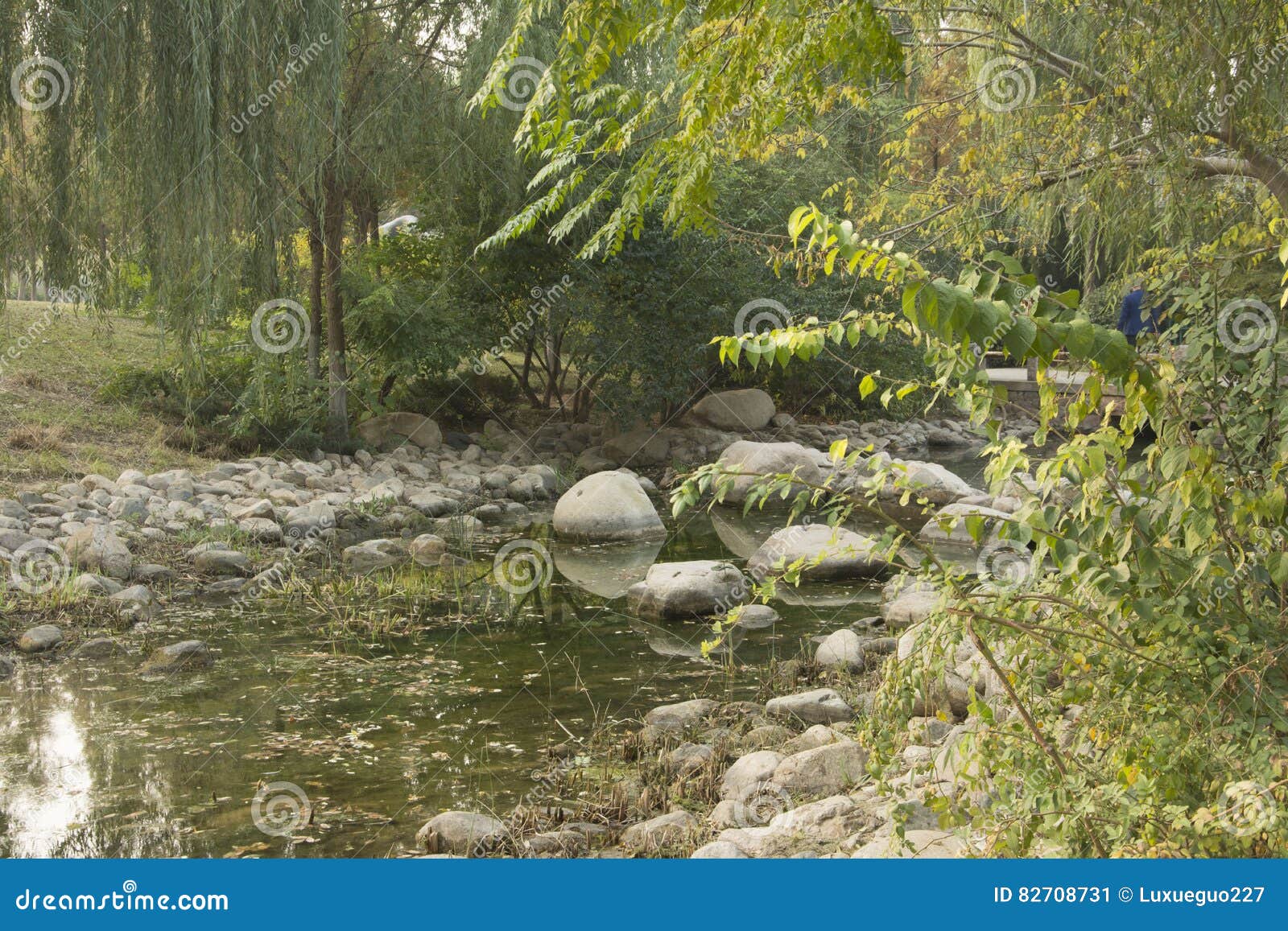Willows and stones stock image. Image of material, landscape 82708731