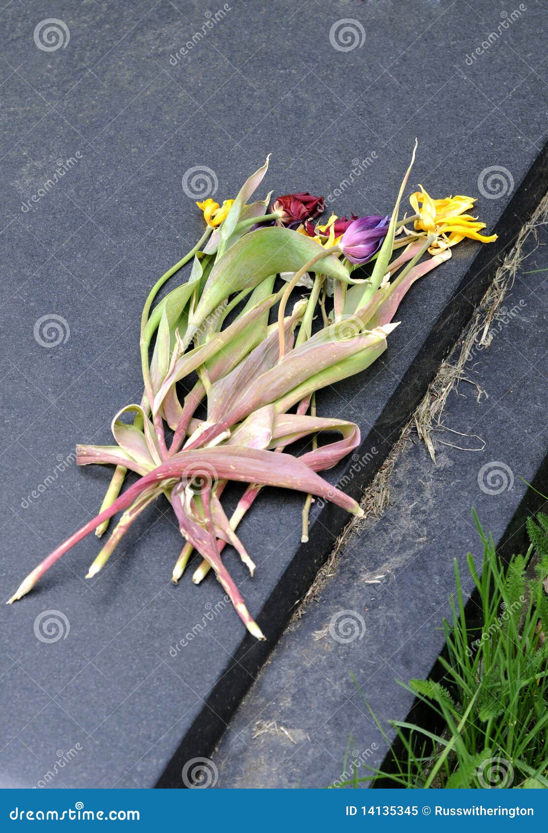 wilted flowers on gravestone