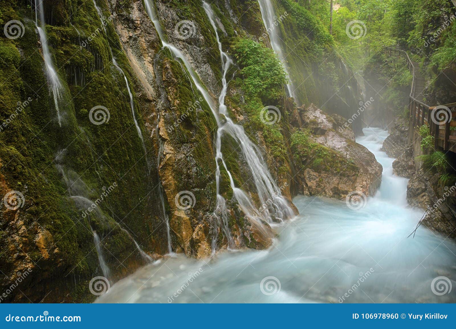 wimbach creek and waterfalls in germany
