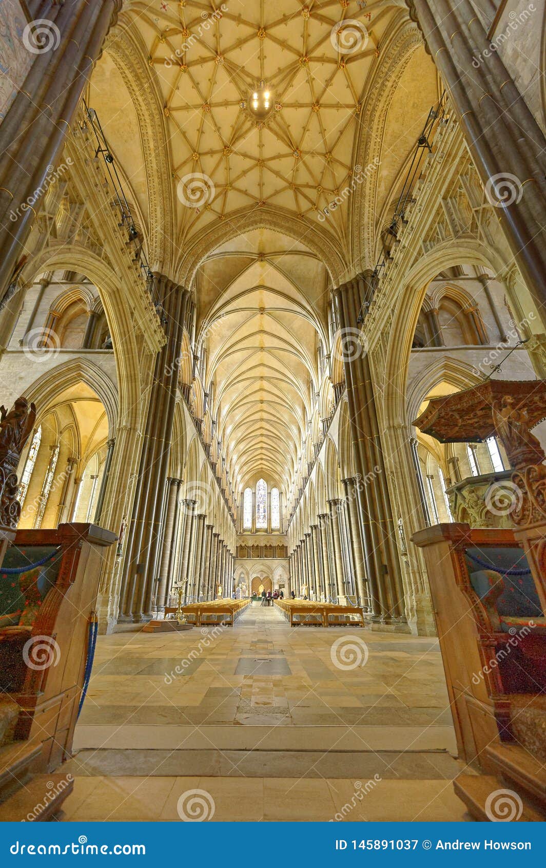 Winchester Cathedral Vaulting And Ceiling Long View
