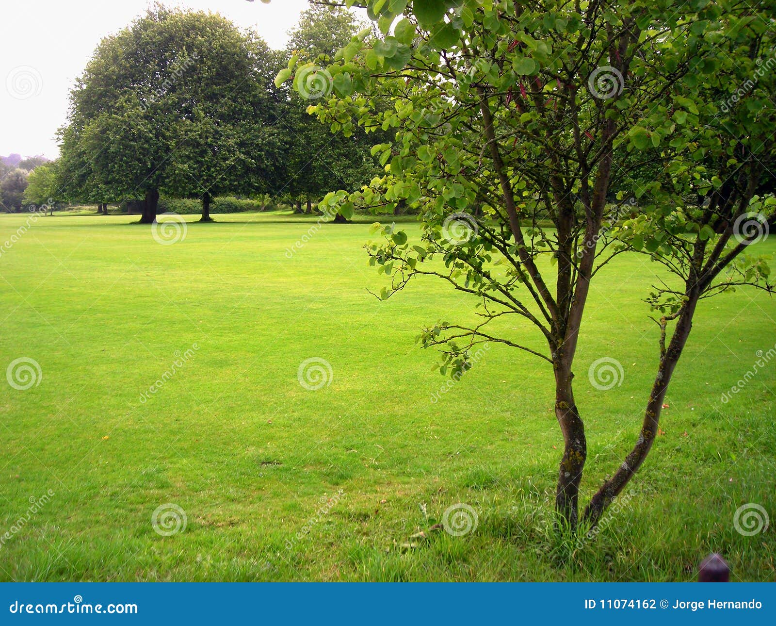 Winchester meadow stock photo. Image of green, land, quiet 11074162