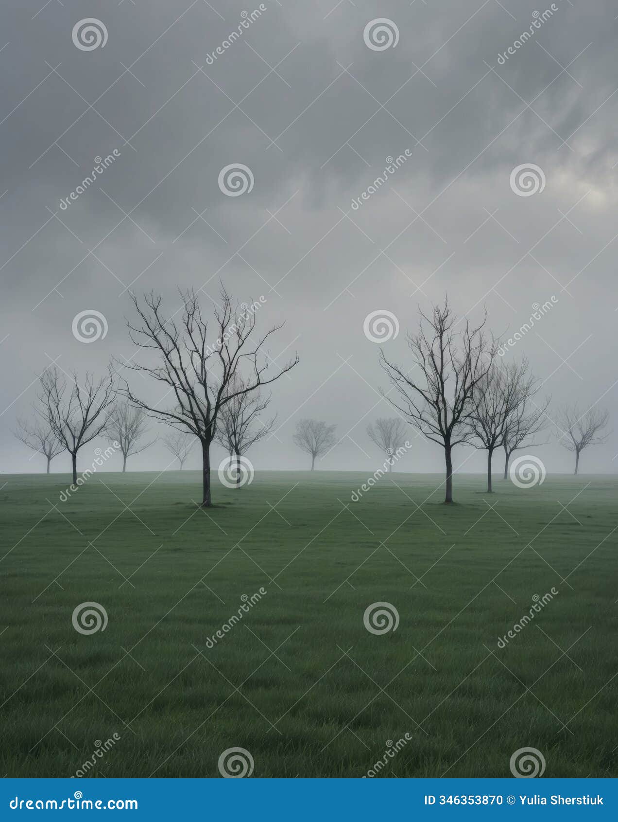 wind blown trees spread throughout a grassy field on a cloudy day.