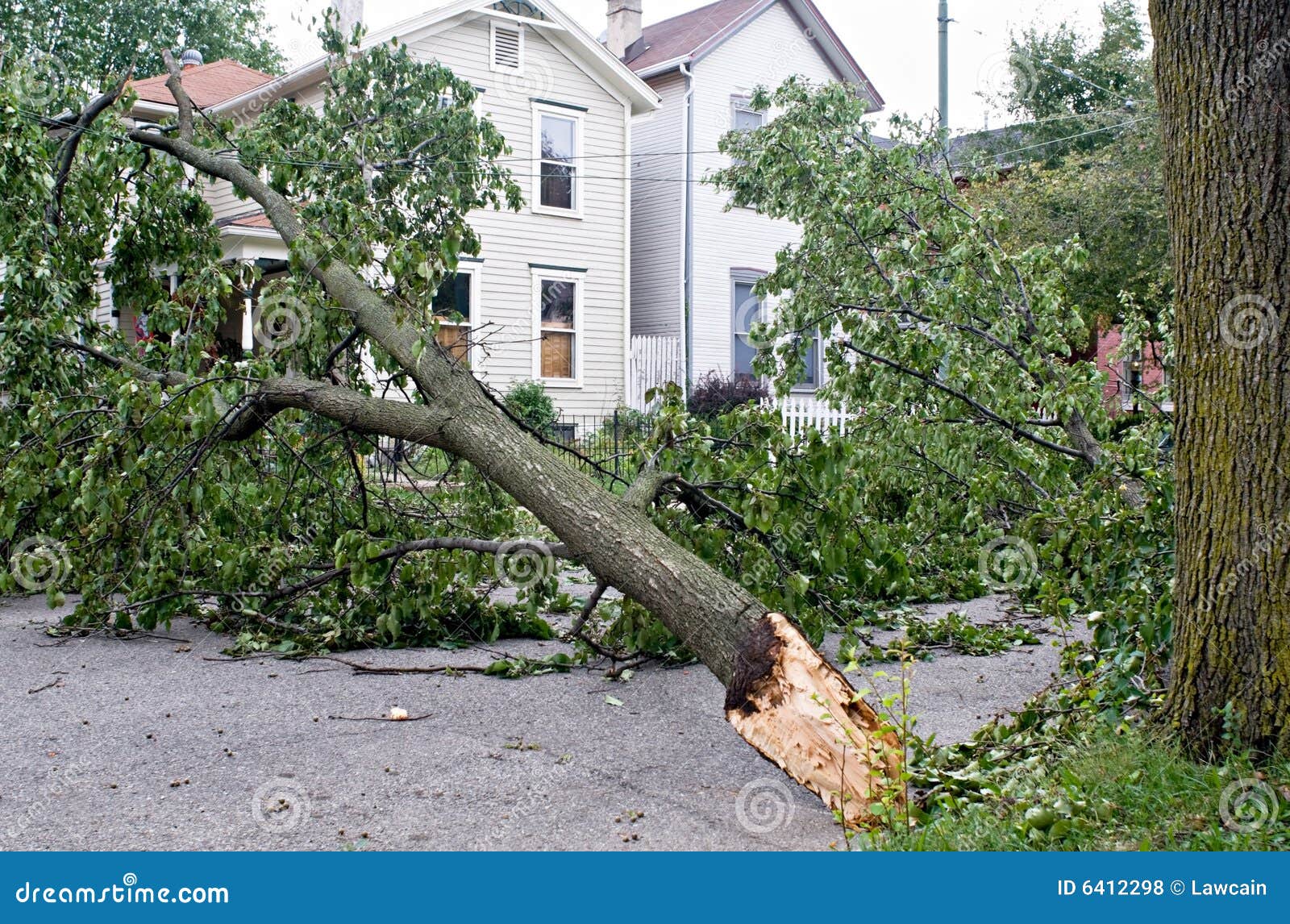 wind damage