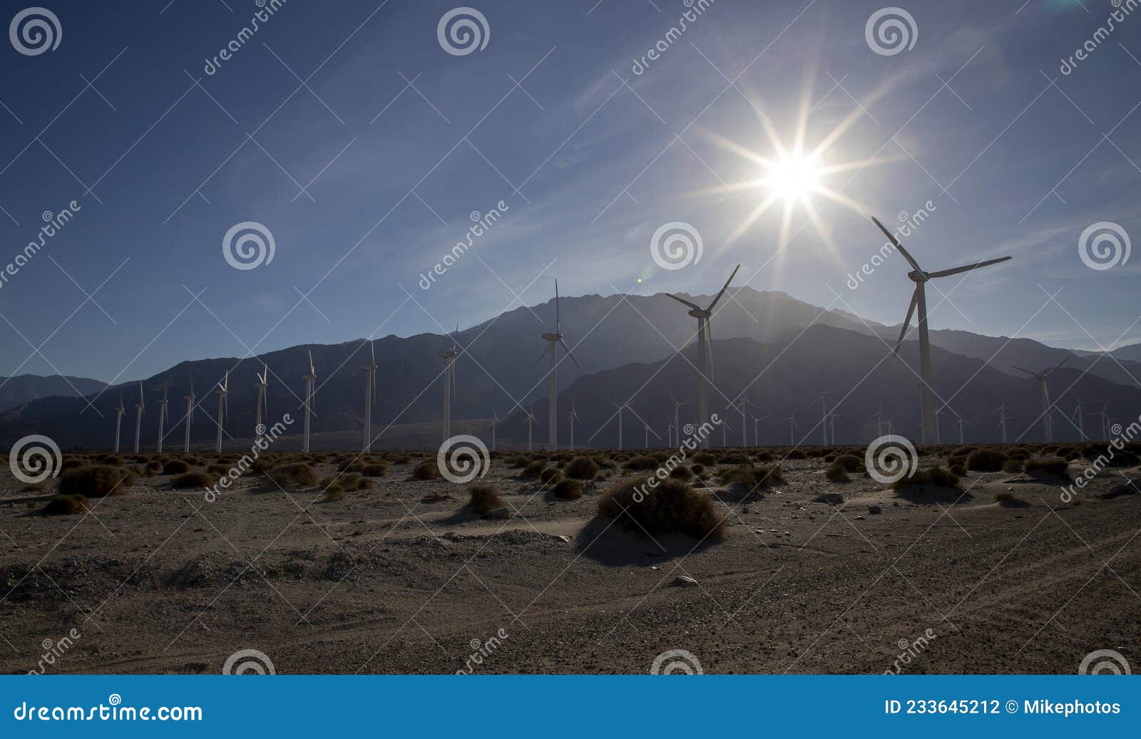 Wind farm at Palm Springs stock photo. Image of plant - 233645212