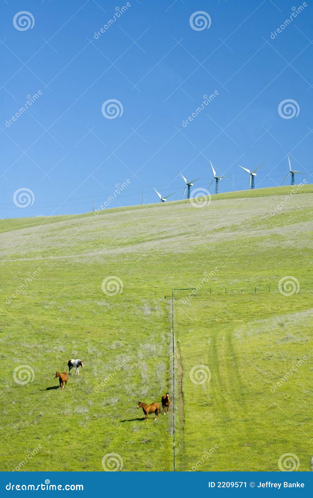 Wind Generators in California Stock Image Image of volts, watts 2209571