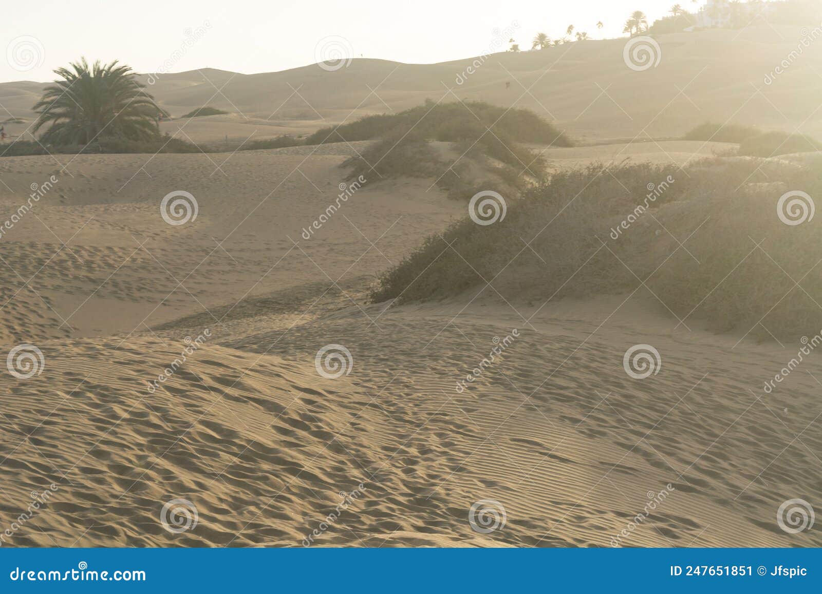 Wind Sculpture Sand Dunes, Maspalomas, Cran Canaria Stock Image