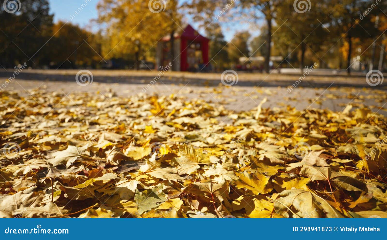 Wind Sweeping Dry Fallen Leaves on the Ground, Blurred Forest Background Stock Video Video of