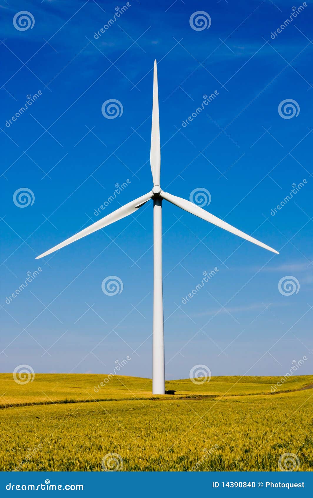 Wind Turbine Field And Flower Field RoyaltyFree Stock Photography