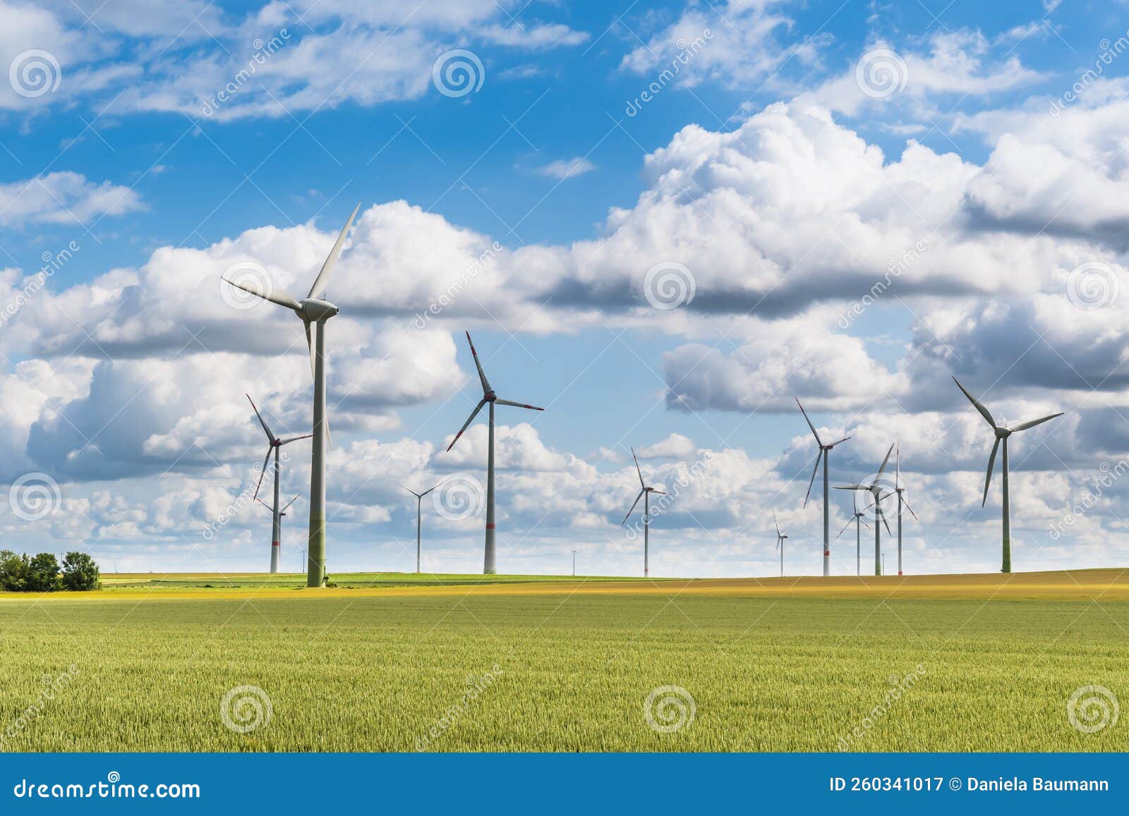Wind Turbines in a Cornfield Stock Image Image of sustainable, metal 260341017