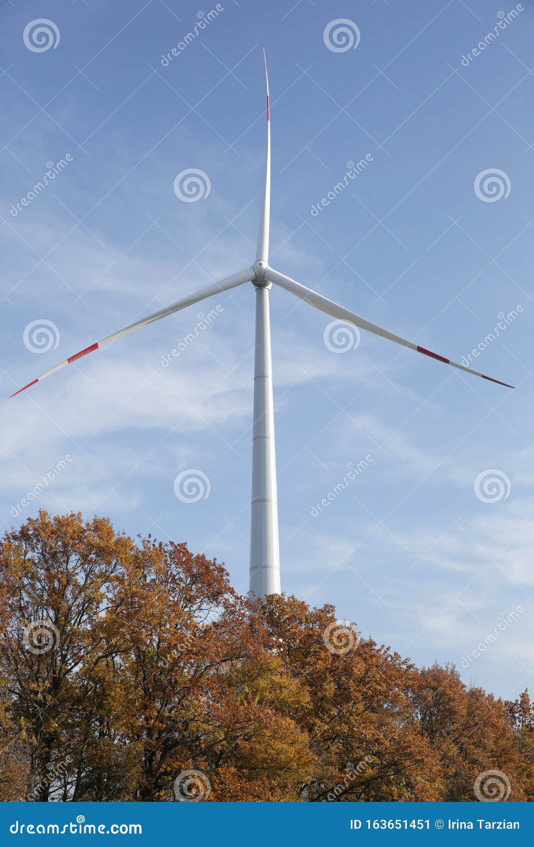 Wind Turbines In A Field And Forest Belt Against A Background Of Yellow Leaves And Blue Sky. Eco ...