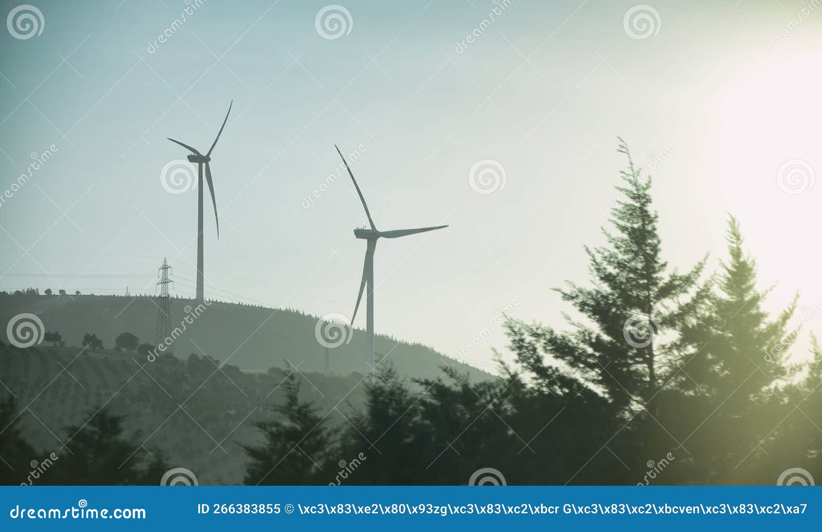 wind turbines and pine trees, hatay, turkey