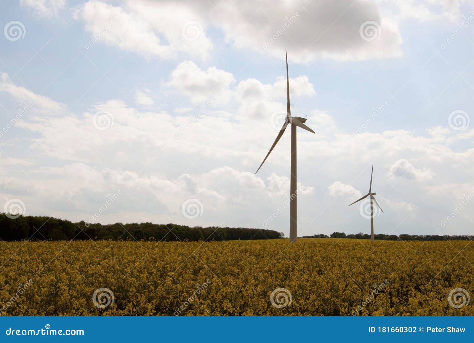 Wind Turbines, in Seed Oil Fields 4, in Marr, Doncaster, South