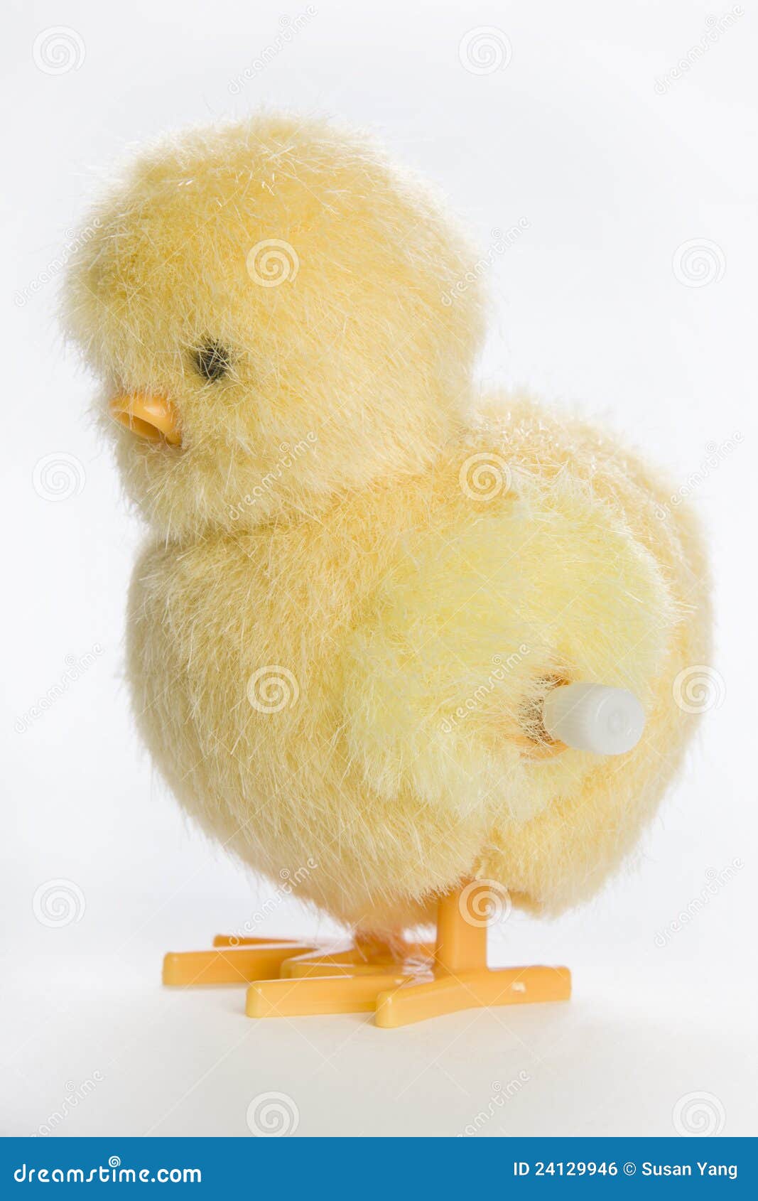 wind up chicken toy