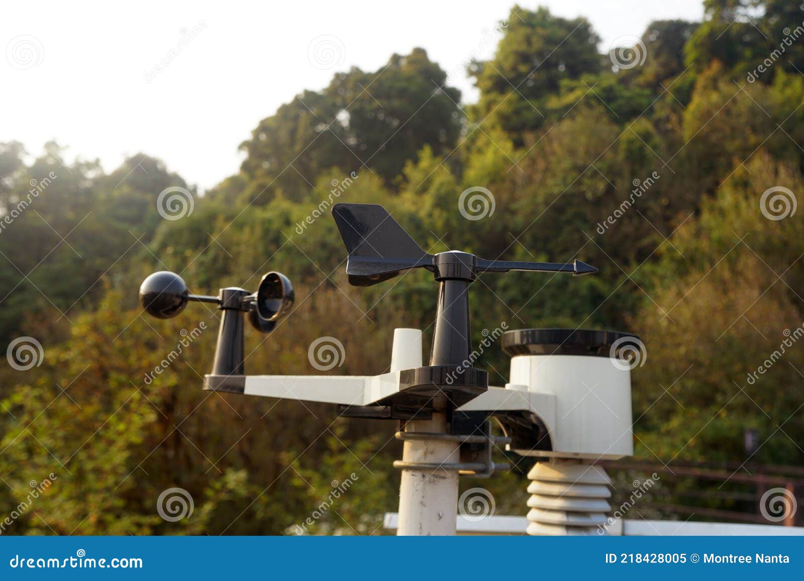 wind vane and anemometer wind vane and anemometer