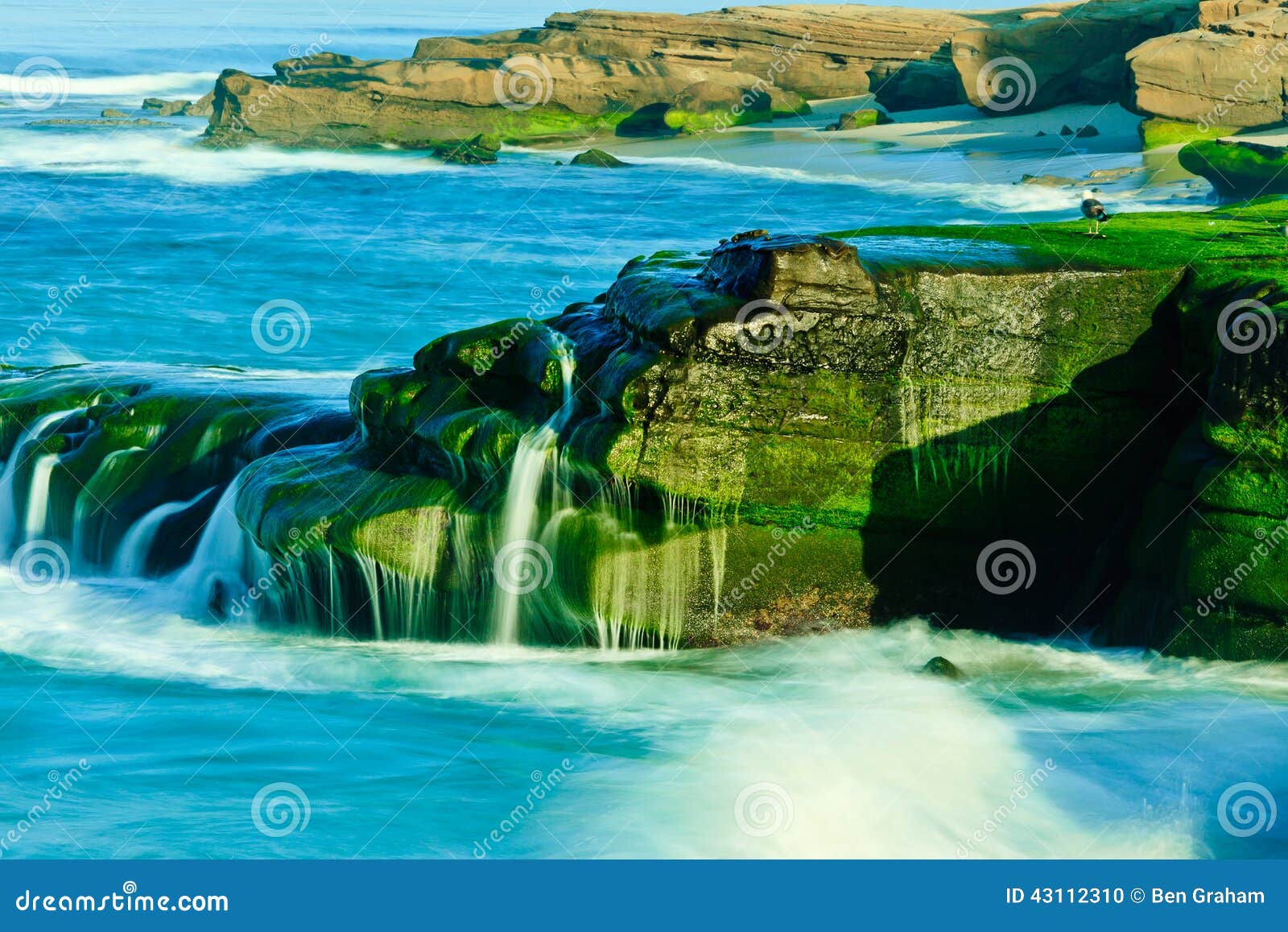 Windansea Beach stock photo. Image of light, ocean, seashore - 43112310