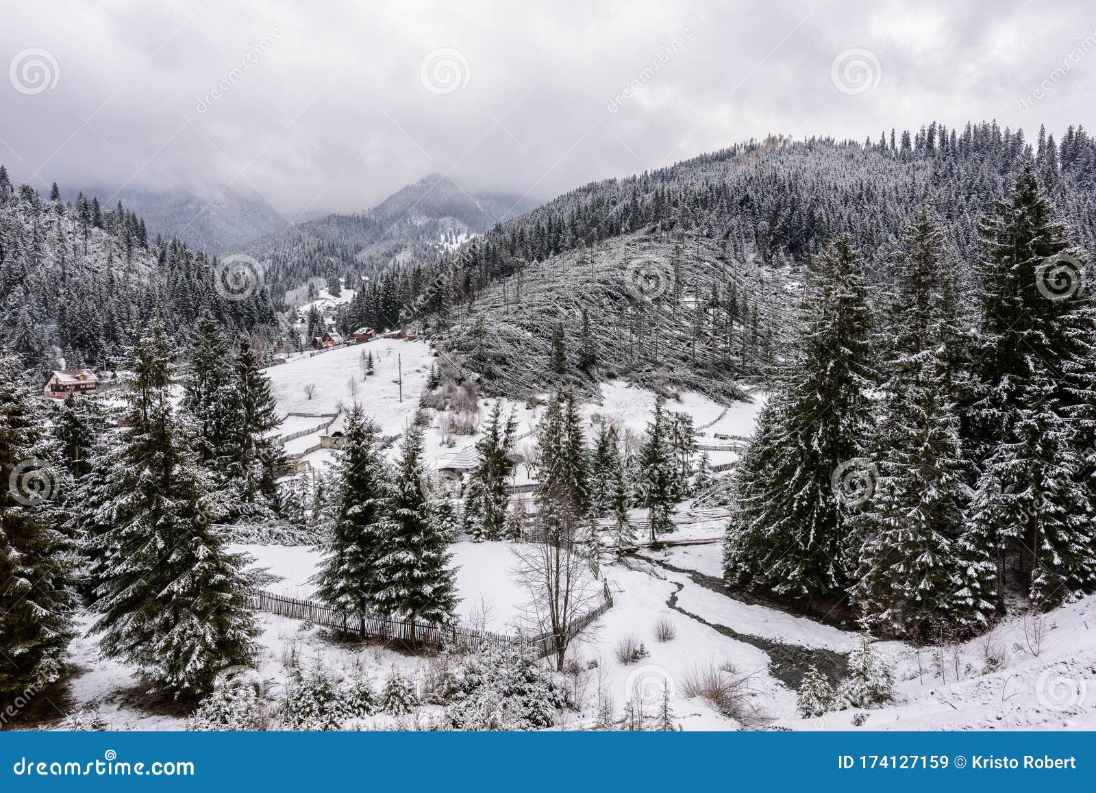 Windfall in Forest, Storm Damage. Stock Image Image of forest, dead 174127159