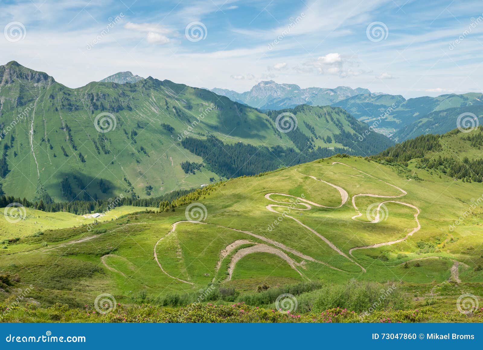 winding bike trails in summer alps, champery