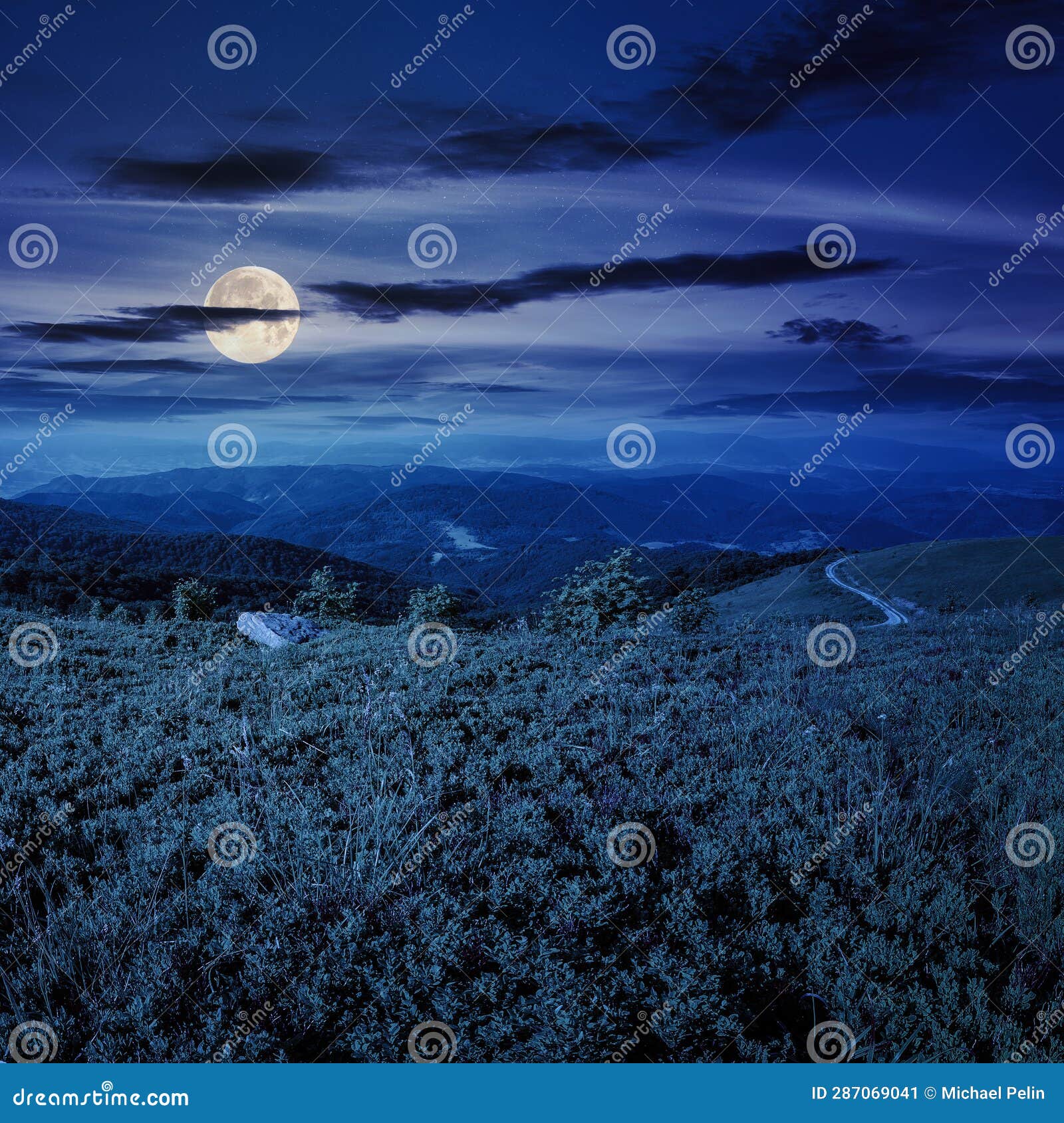 My Image 28
