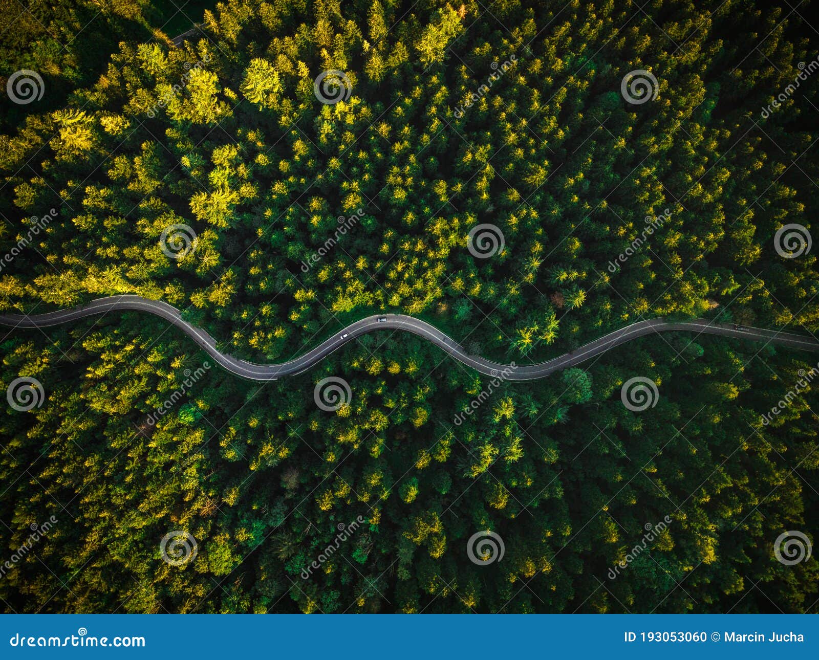 winding curvy road trough forest. aerial drone top down view. wilderness landscape