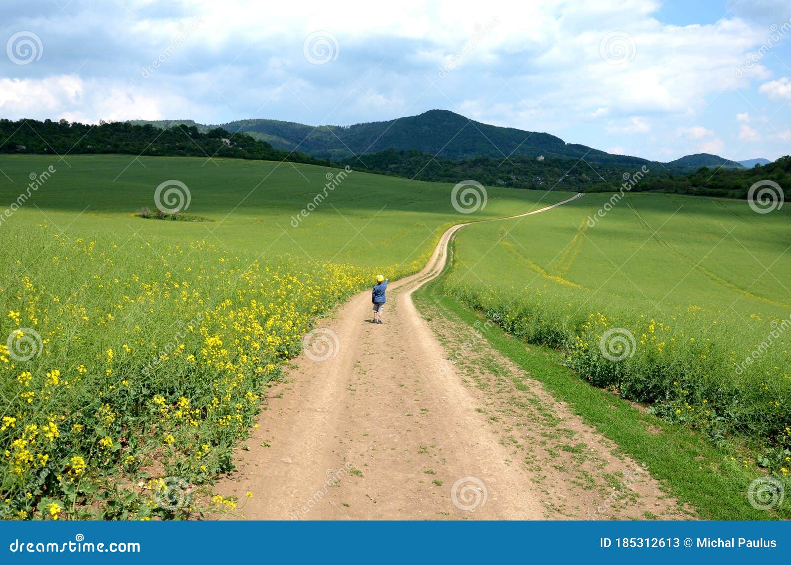 Winding Gravel Road Between Fields Leads To Hills To Natural Hills Is