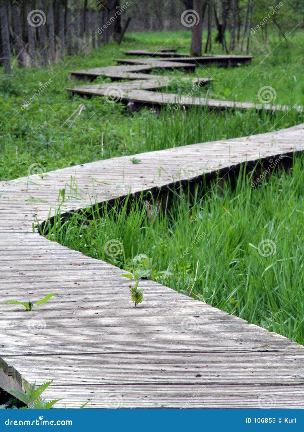 Winding path stock image. Image of movement, development 106855