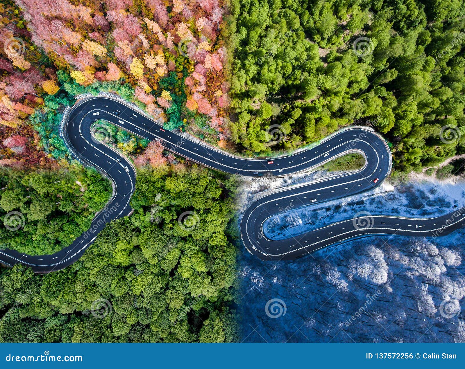 winding road in all four seasons. aerial view of a curved highway trough the forest. composite drone roadway image