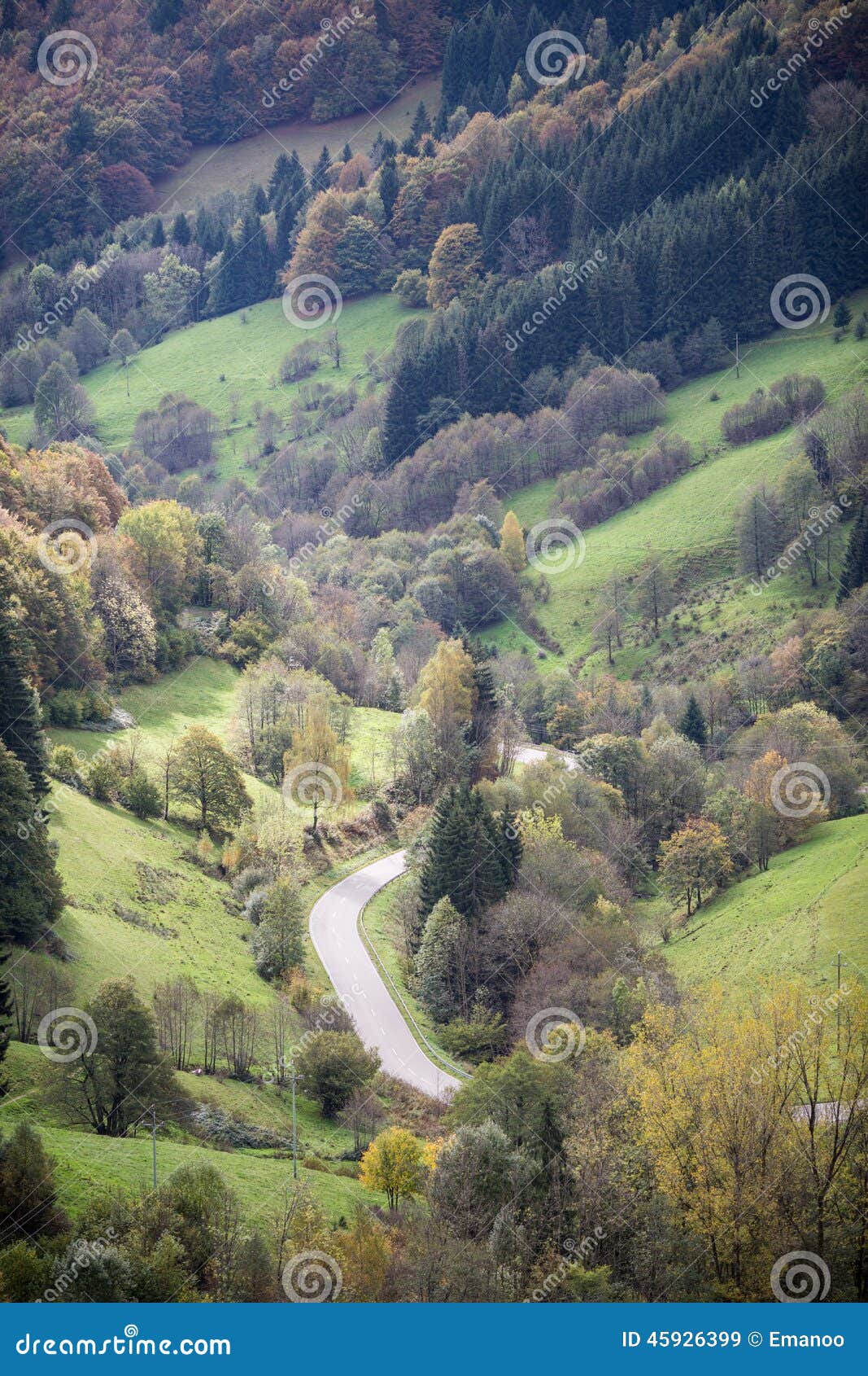 Winding Road in Black Forest Valley, Germany Stock Image Image of