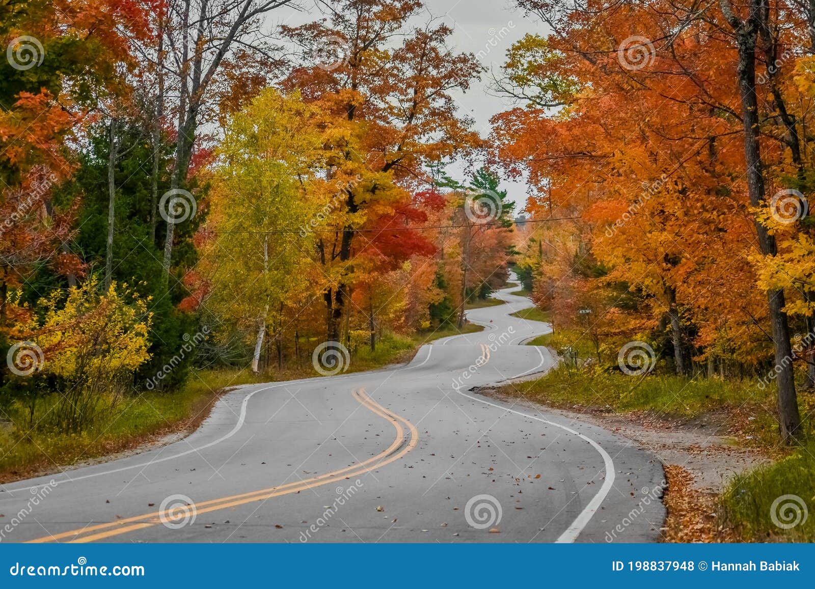 winding road, fall colors, door county, wi