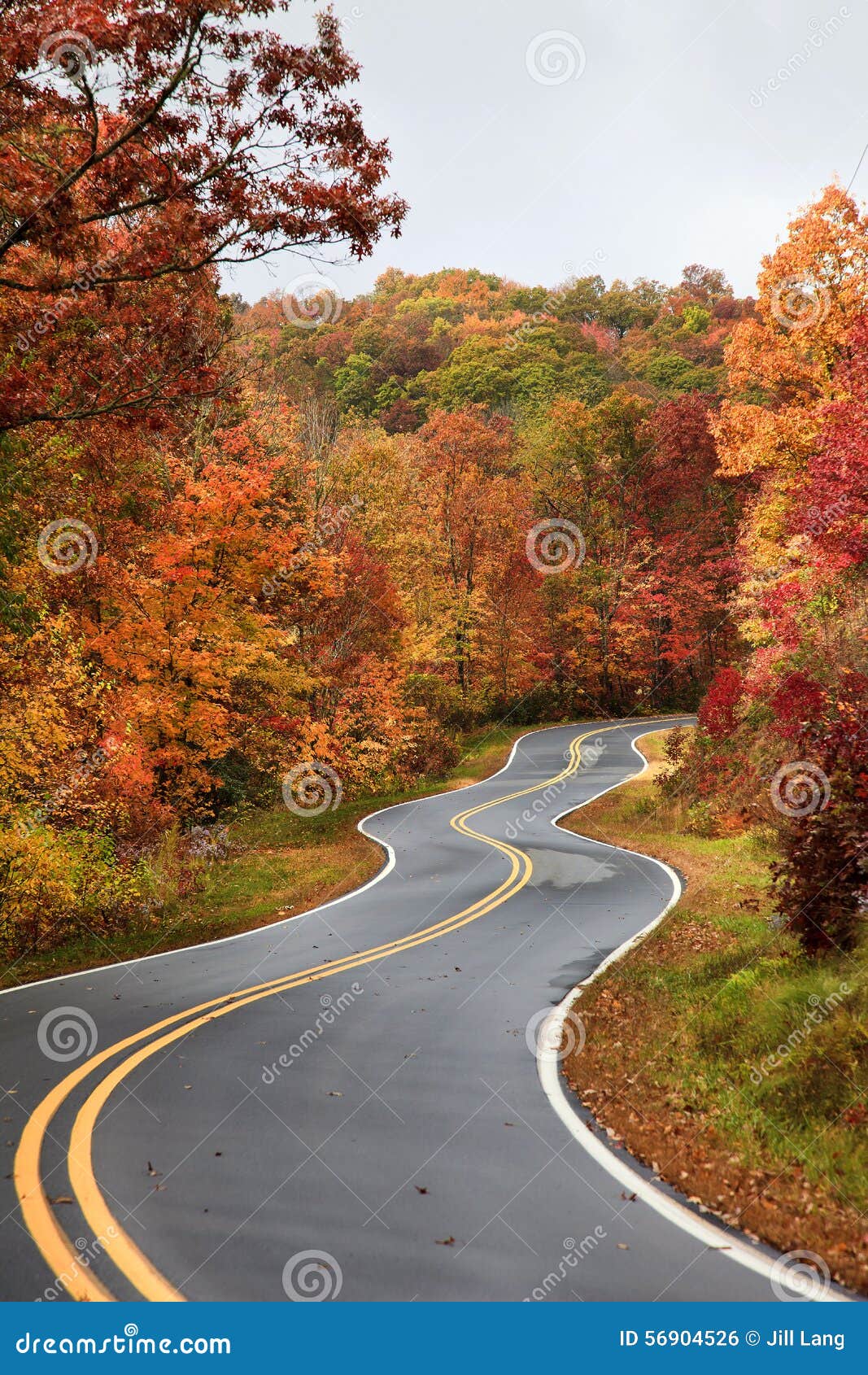 Scenic Tree Lined Country Road In The Catskill Mountains Of