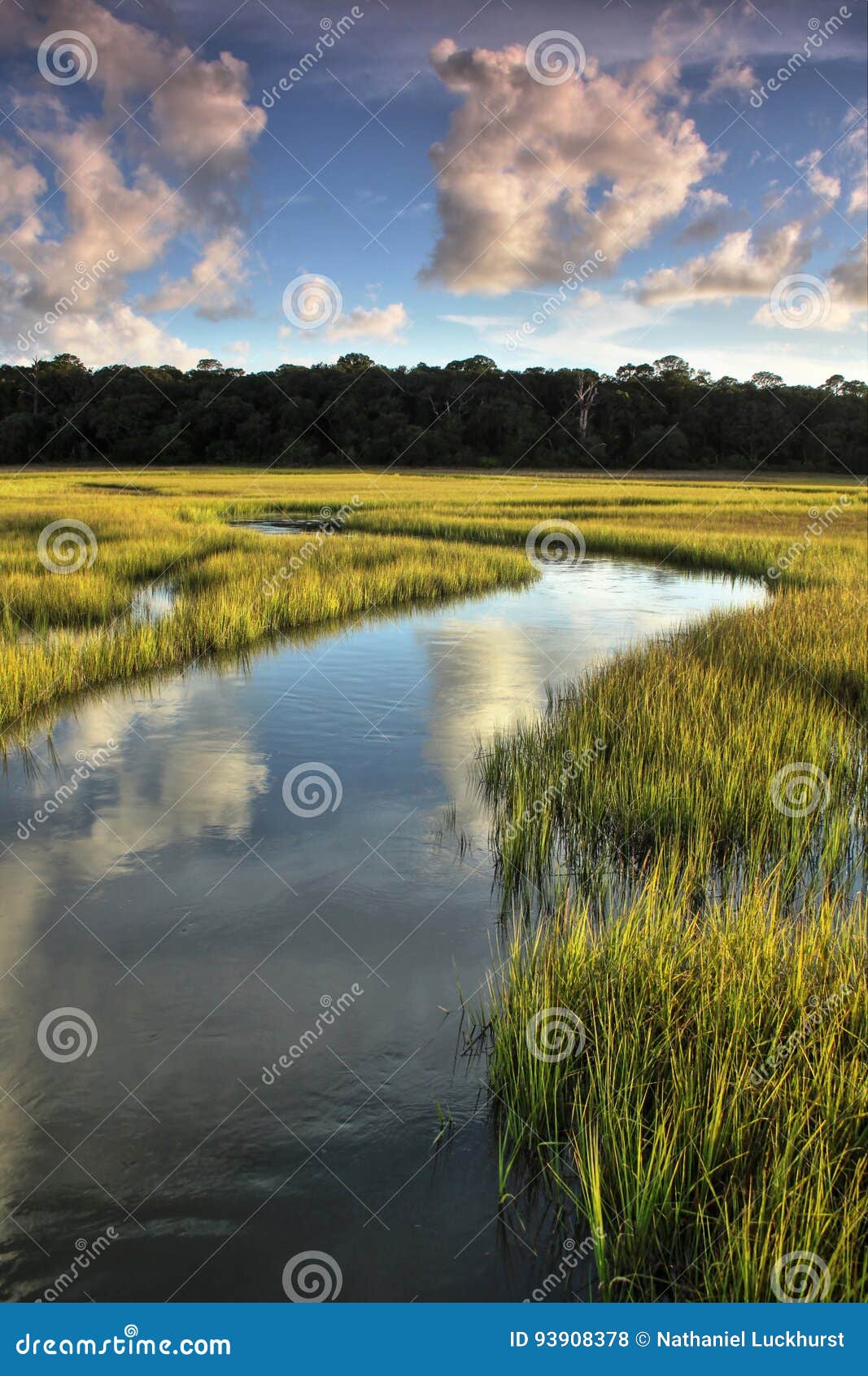 winding salt marsh