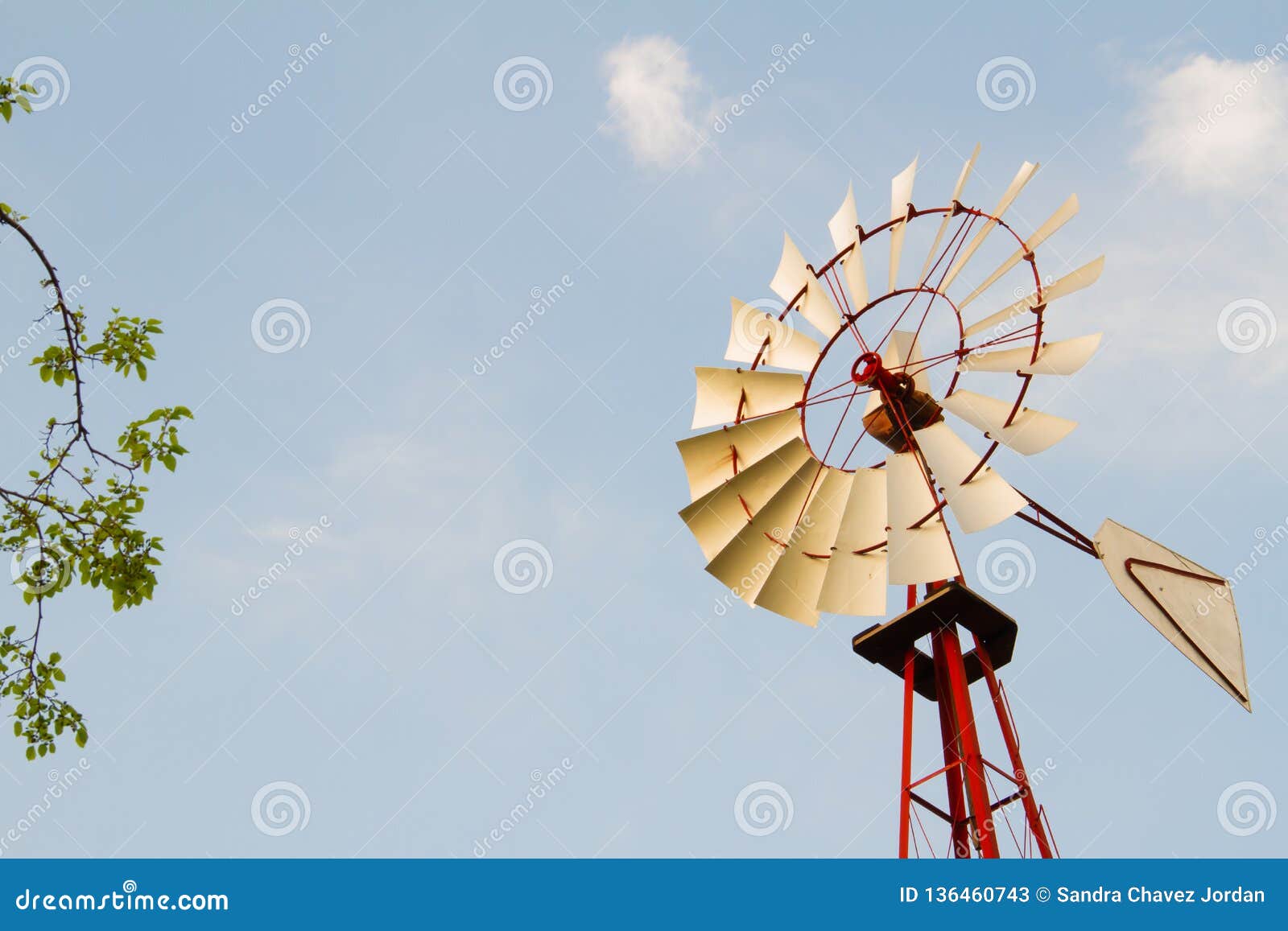 windmill forest