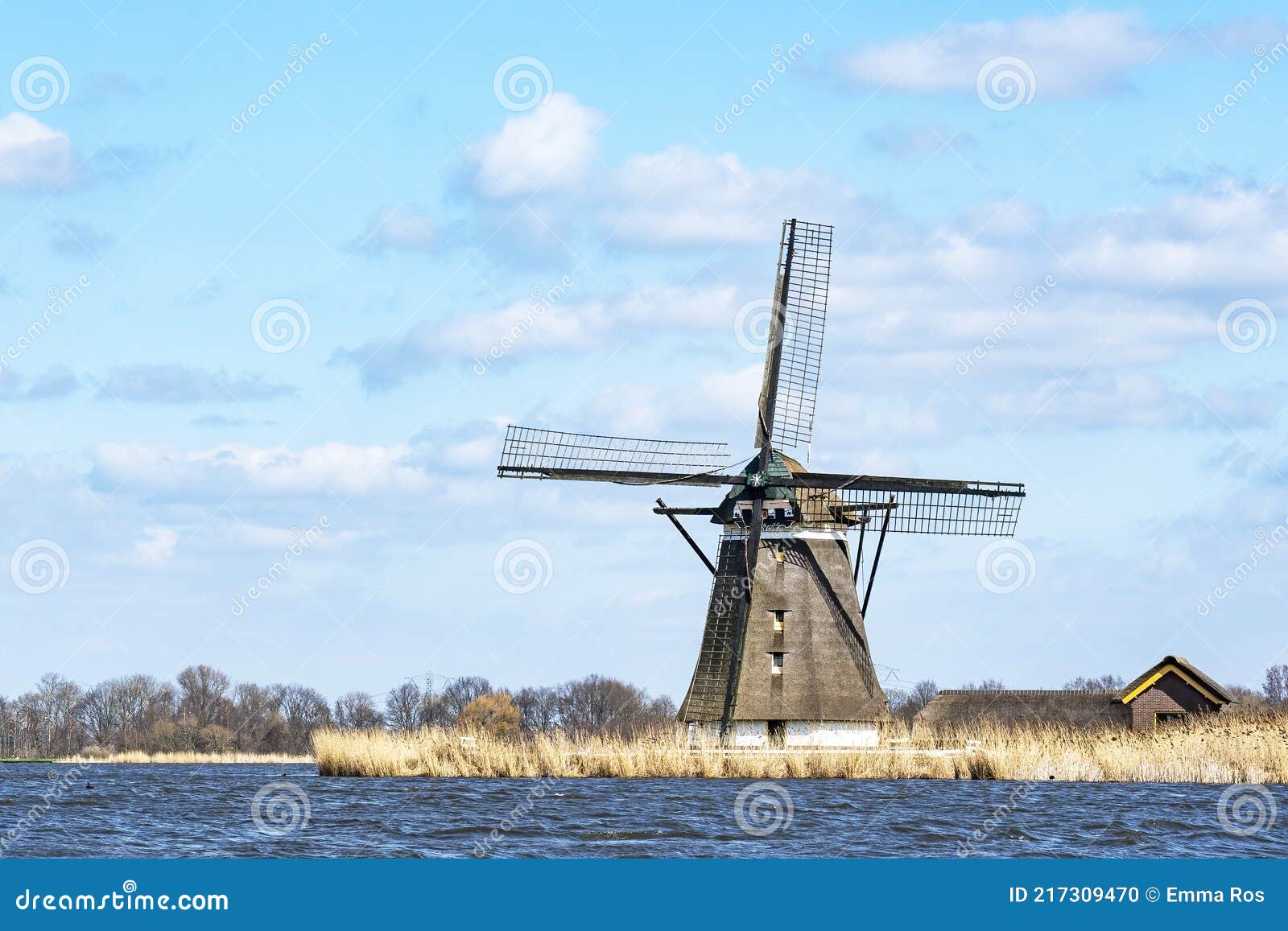 the windmill de korenmolen along the rough water of lake de rottemeren on a sunny but stormy day