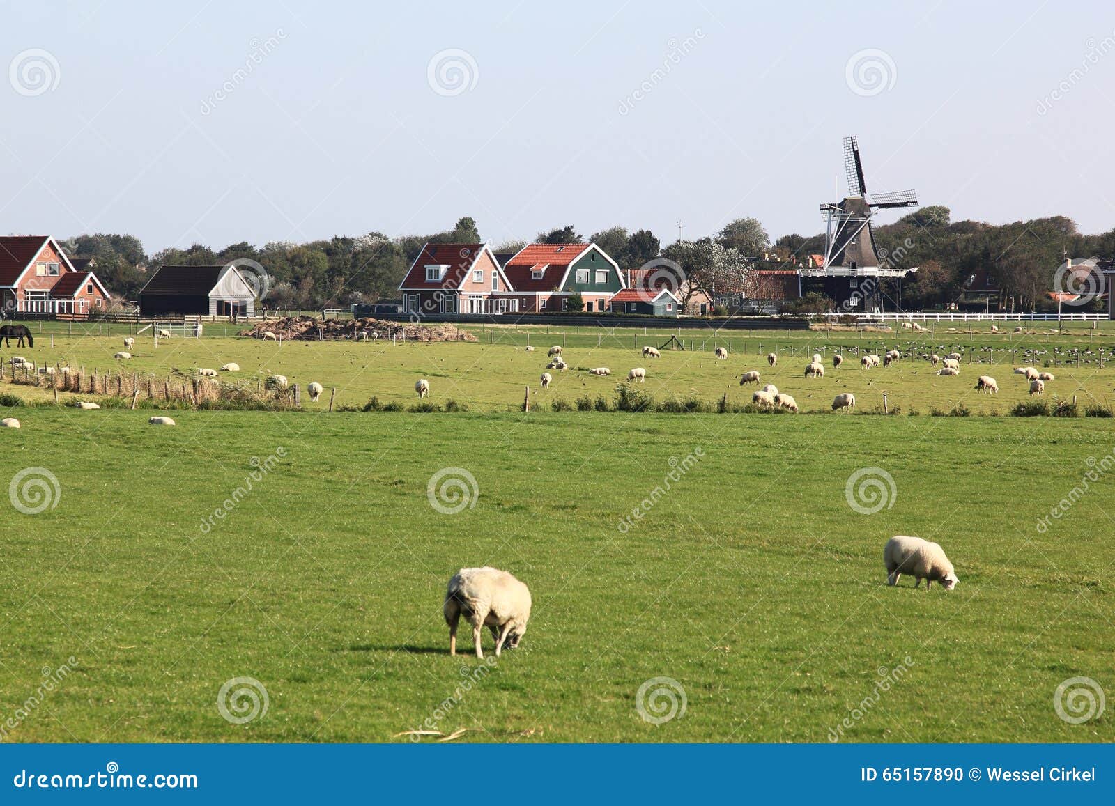 windmill de verwachting, hollum, ameland, holland