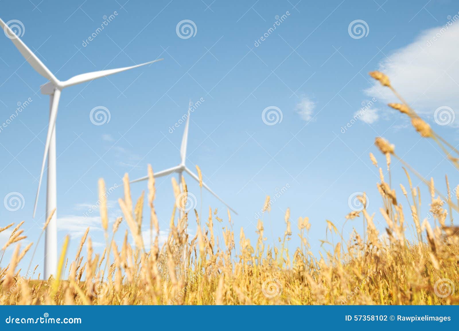 windmill grassland field hill natural scenics concept