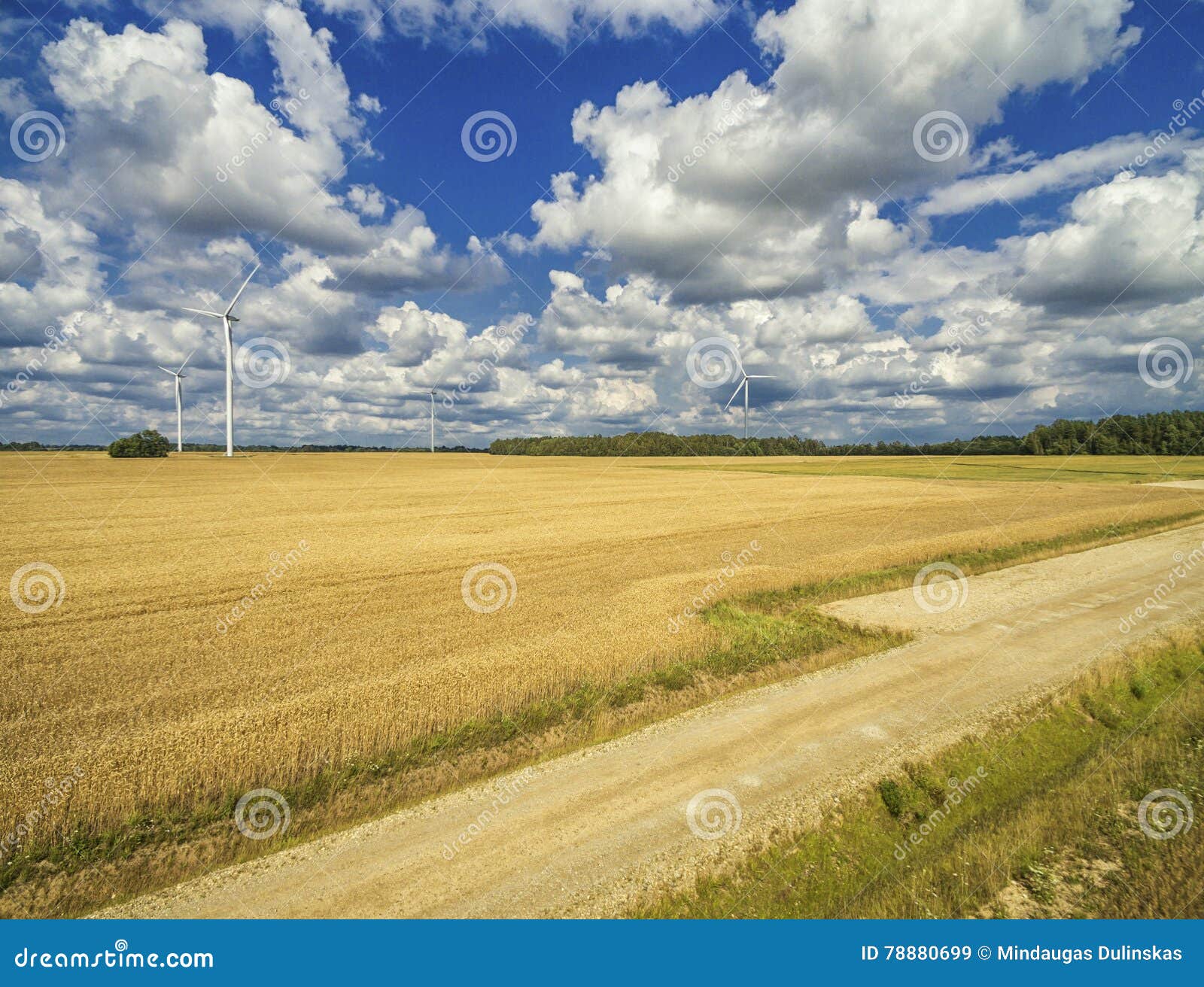 windmill and landscape with wheat field in lithuania, mazeikiai district.