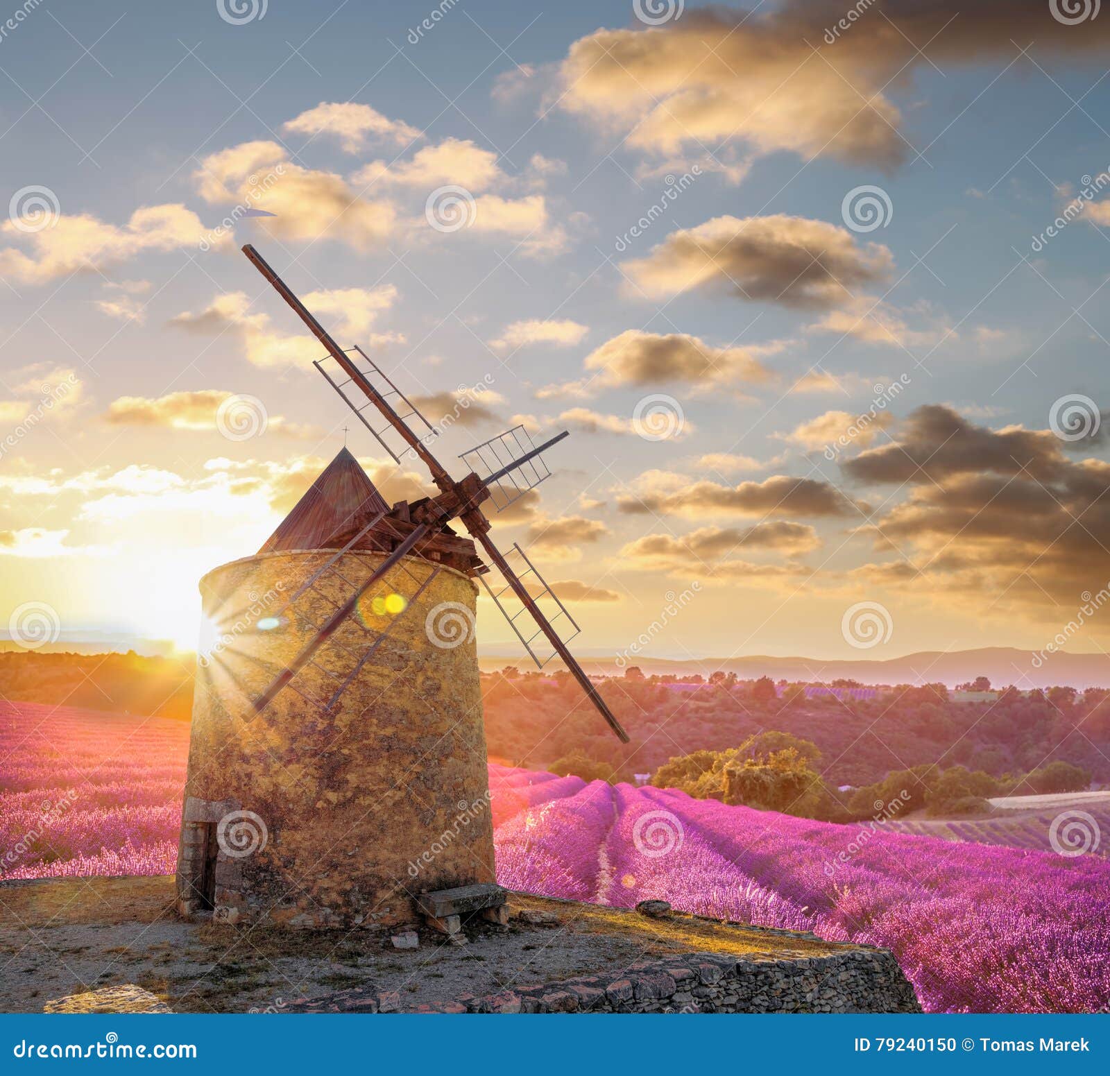 windmill with levander field against colorful sunset in provence, france