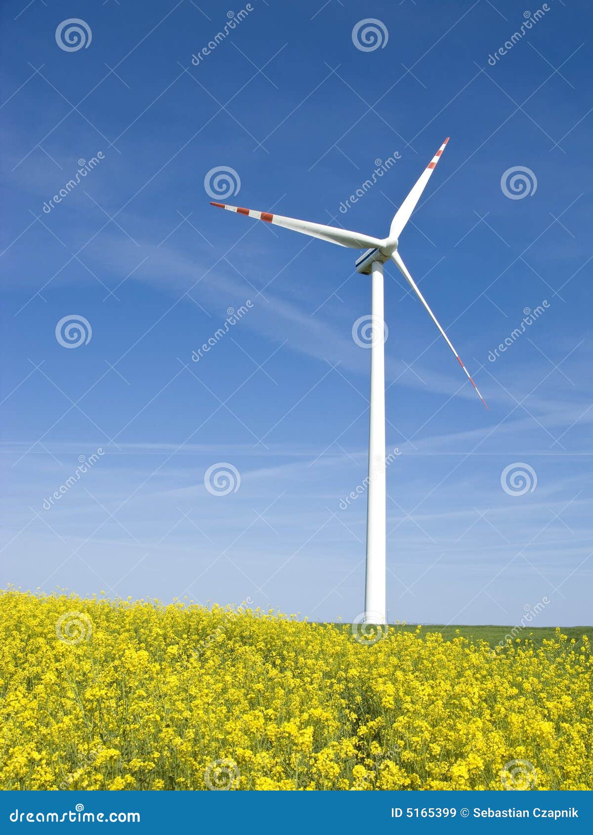 windmill in yellow field