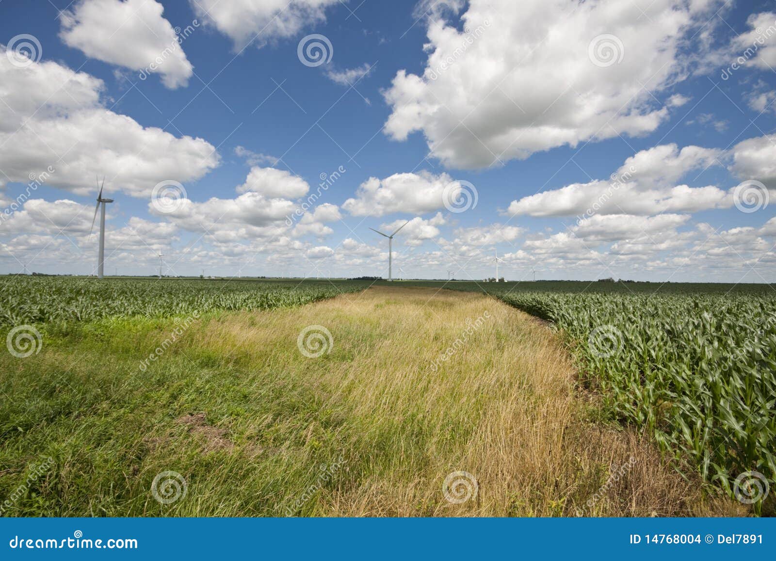Windmills Near Fowler, Indiana Stock Photo Image of farms, power