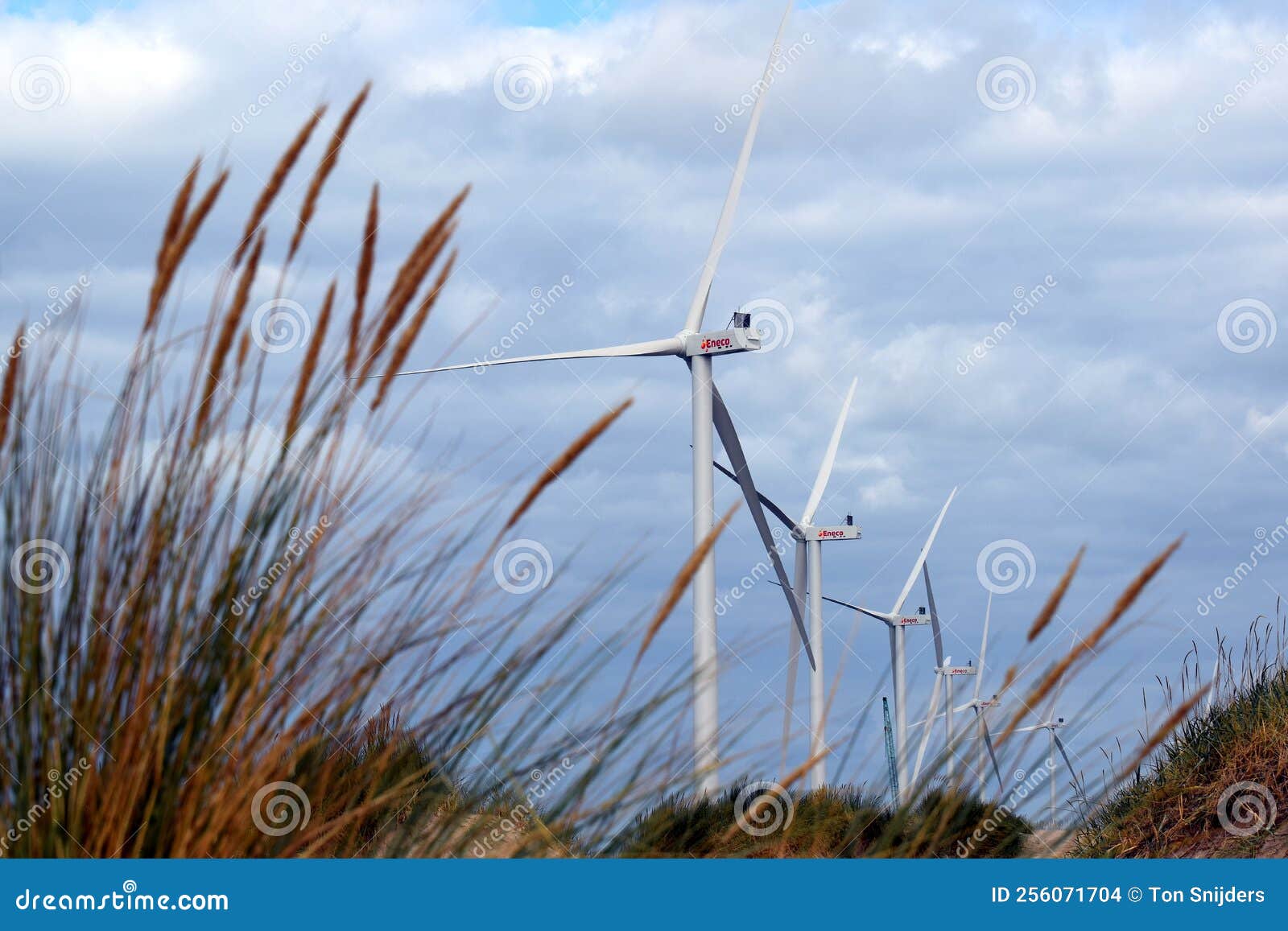 windmills under construction on the beach of the maasvlakte