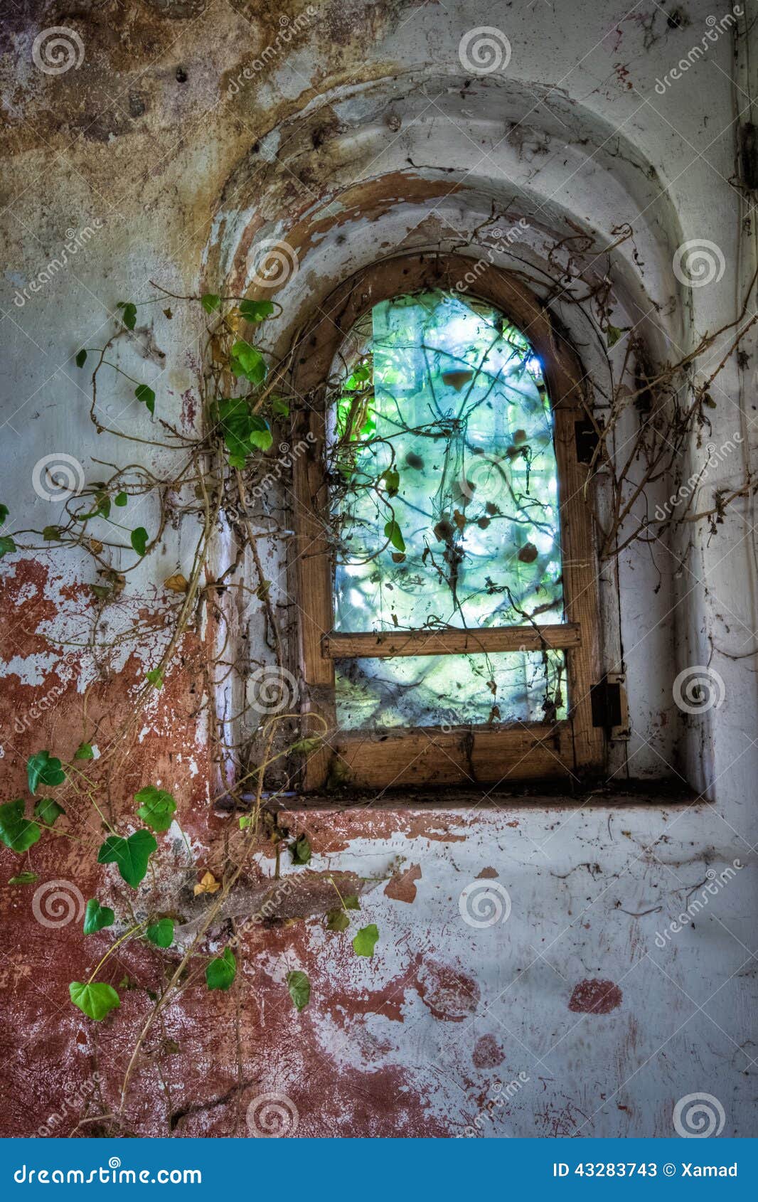 a window, in an abandoned castle, in italy