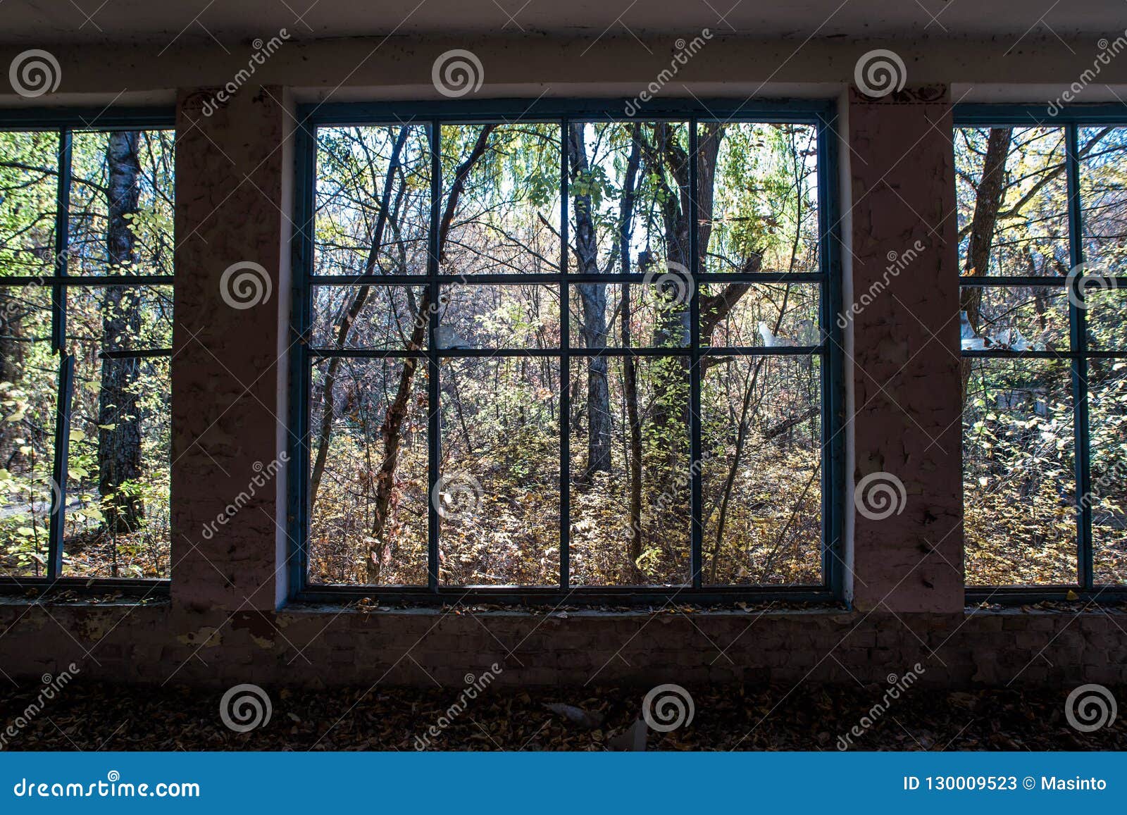 window in abandoned shop in chornobyl zone