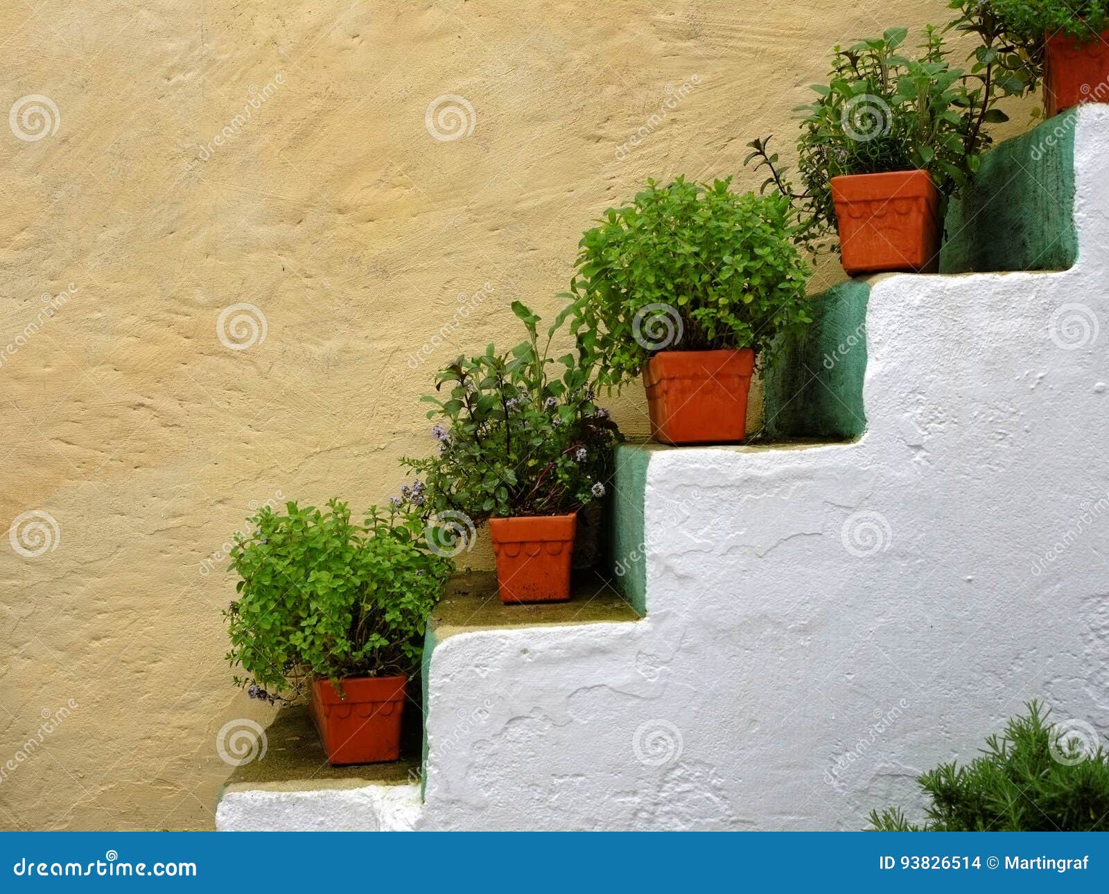 herb flowerpots on stairs alongside house wall mediterranean style