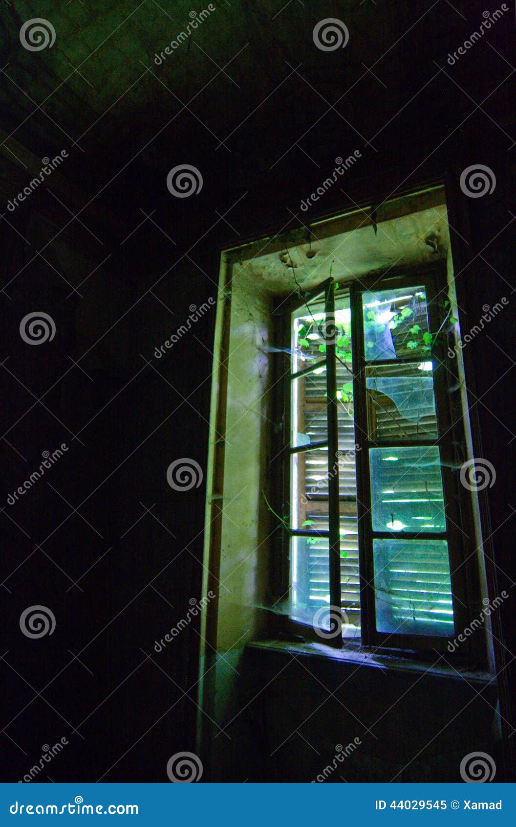 a window with closed shutters