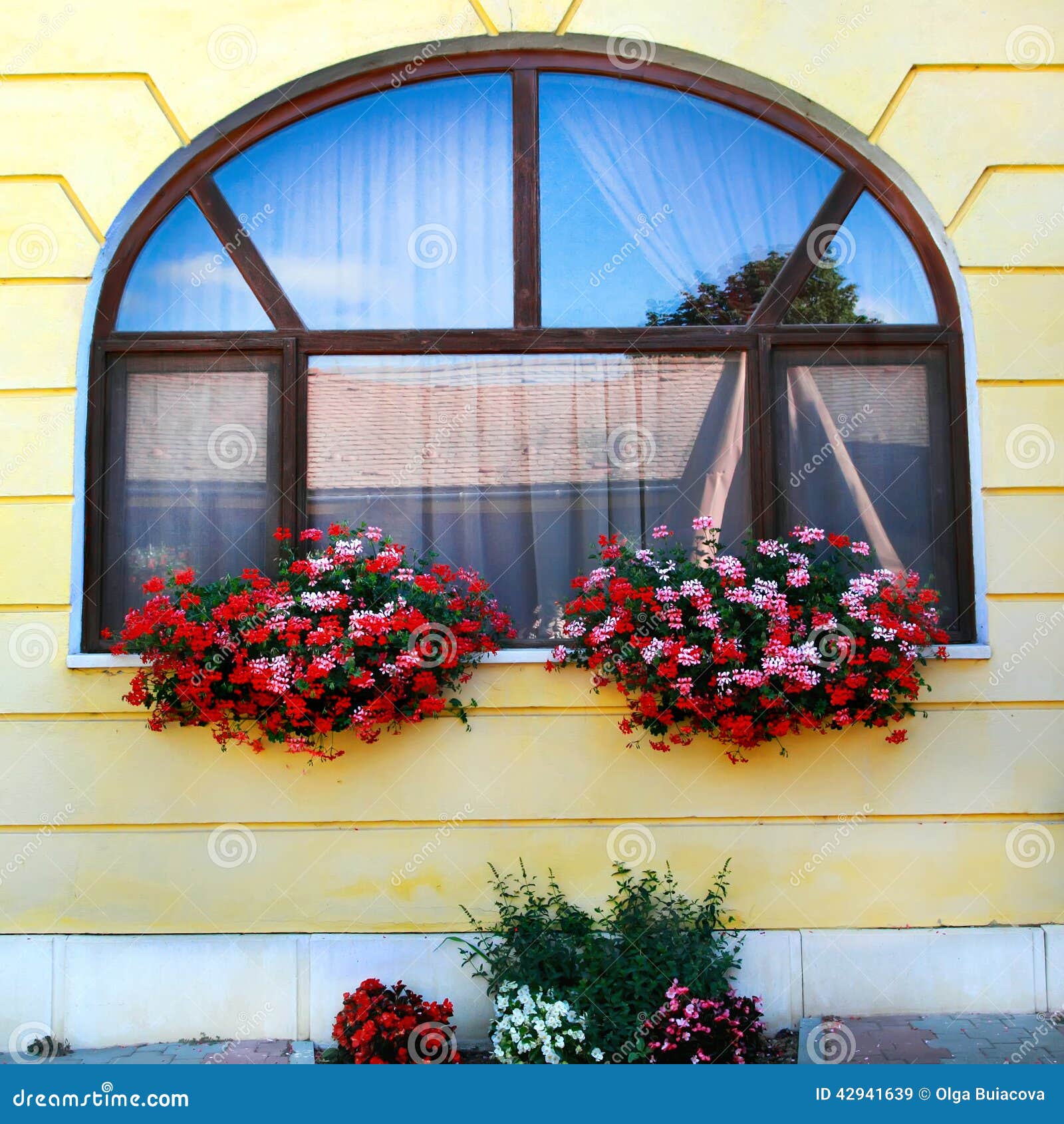Window Decorated with Two Baskets of Red Flowers Stock Image Image of
